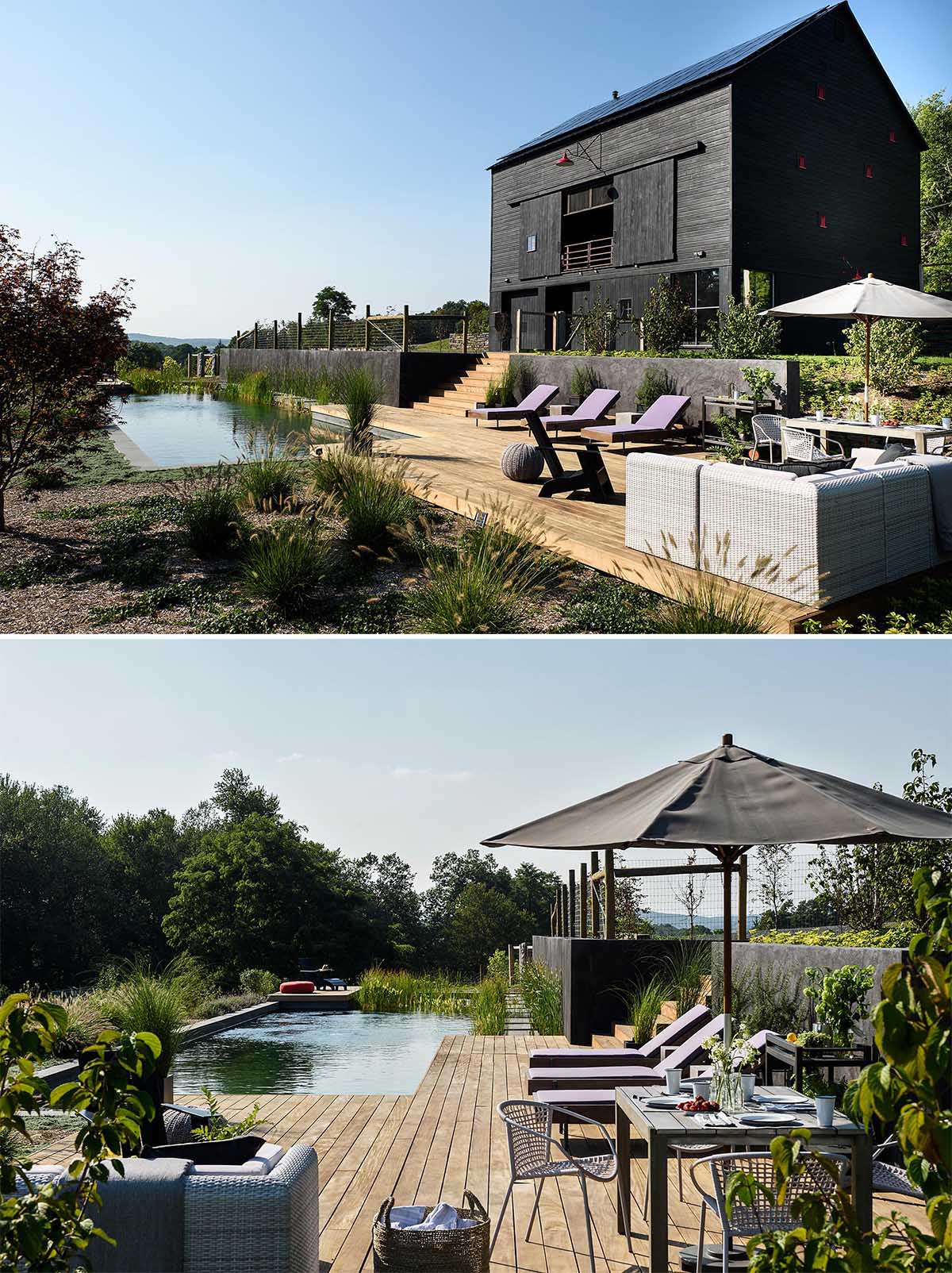 A modern black barn house with a natural swimming pool.