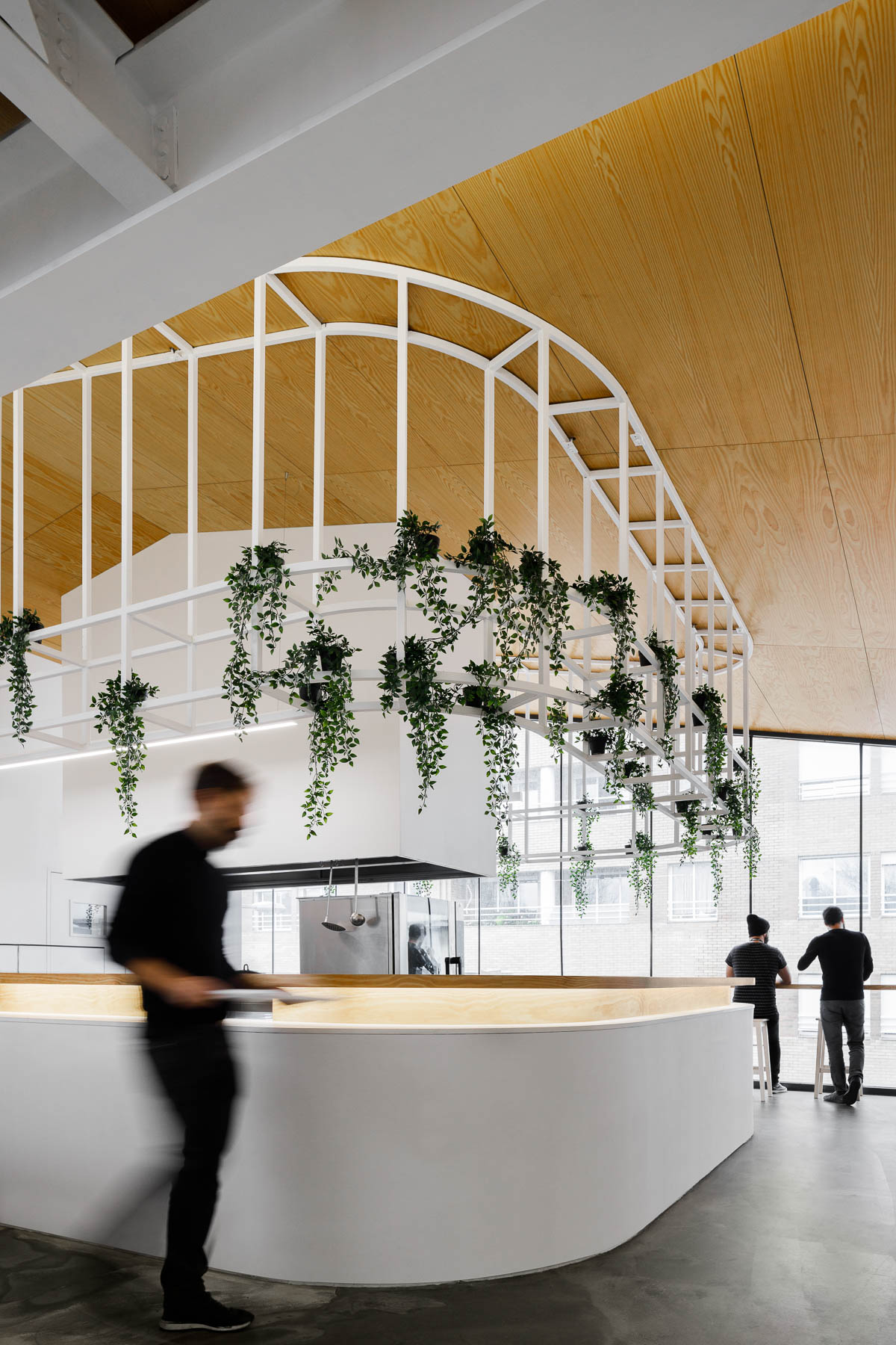 A modern office with plants that hang from a metal detail.