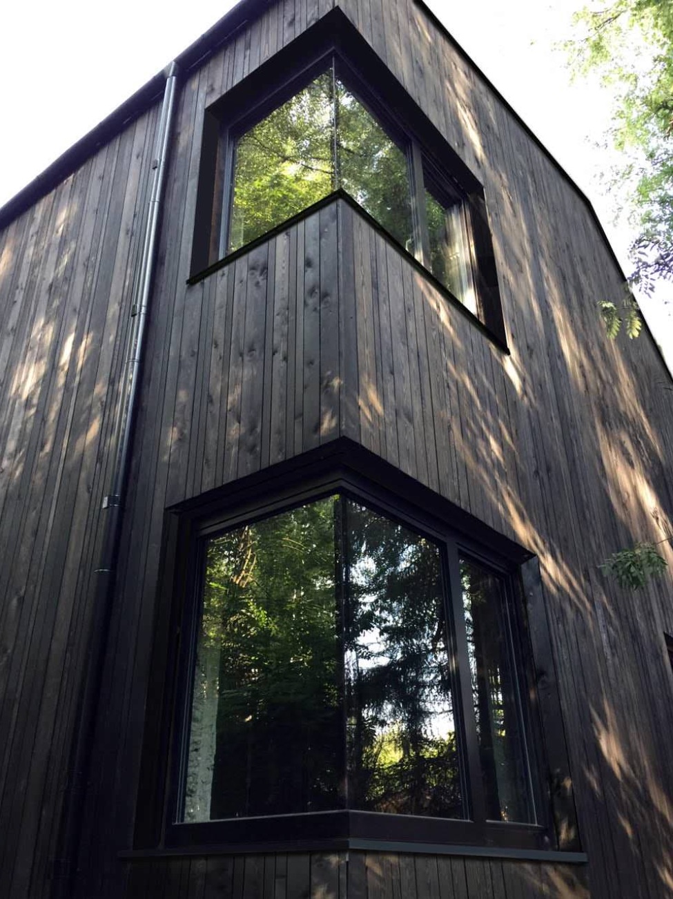 A modern house with dark wood siding and black window frames.