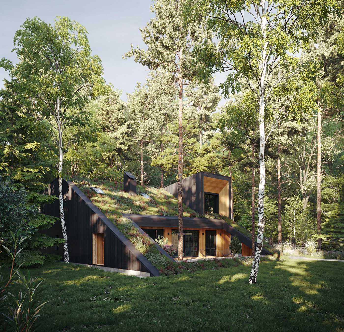 A modern house with a sloped green roof, and light and dark wood siding.