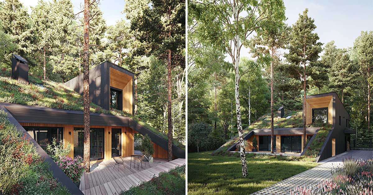 A Green Roof Slopes Down To The Ground On This Home In The Forest