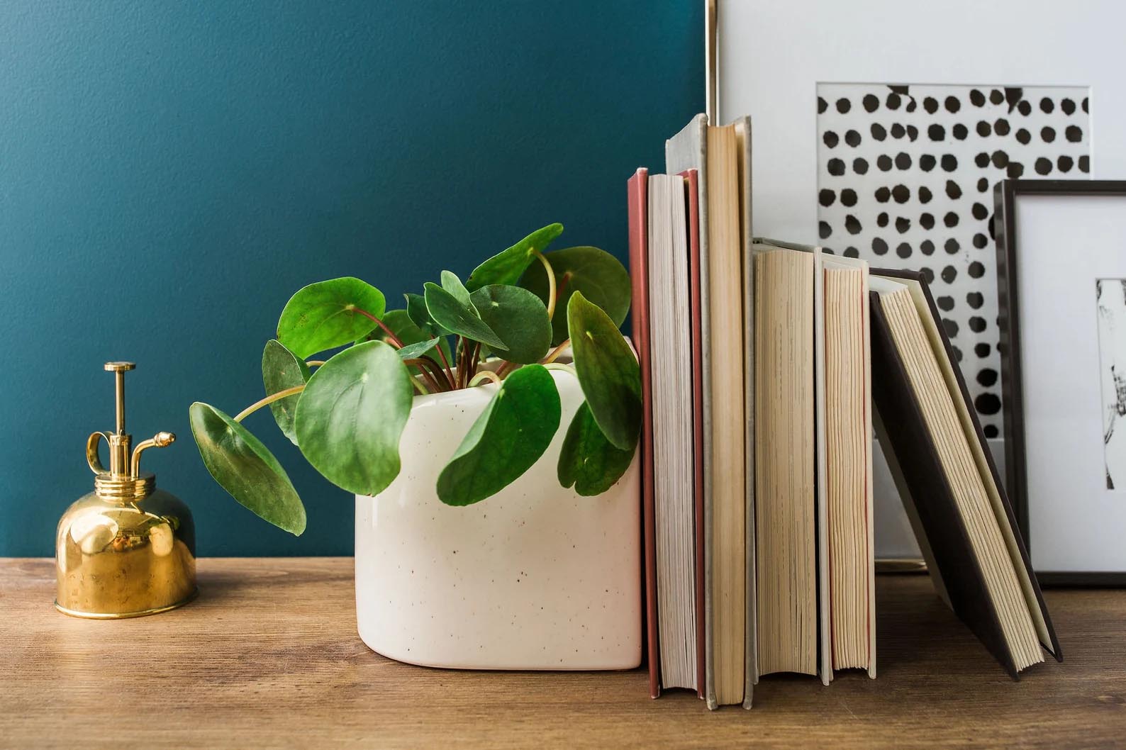 Modern Gift Ideas - Planter bookend.