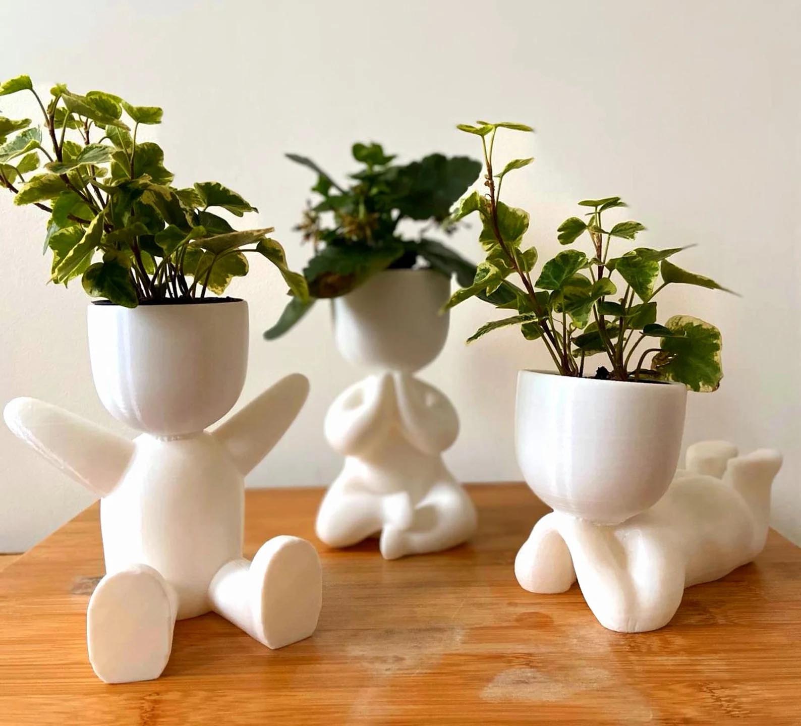 Modern Gift Ideas - Figure planters.