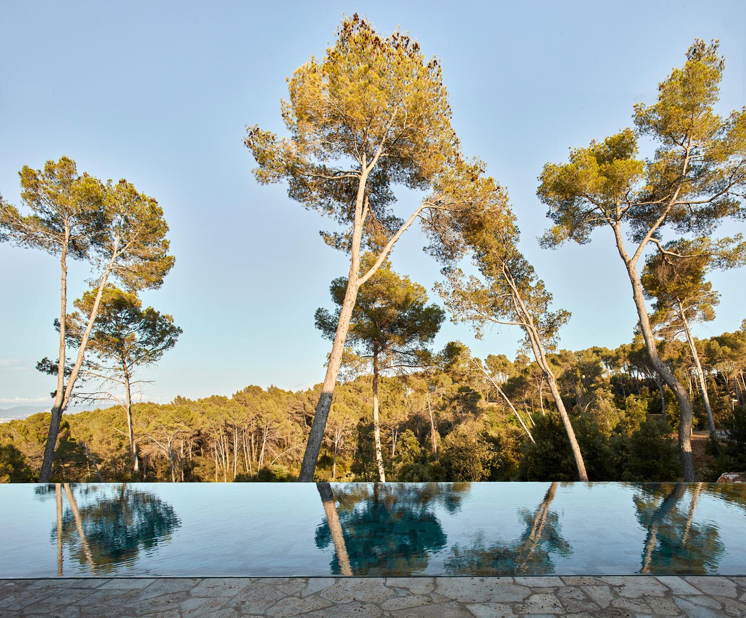 A modern infinity edge swimming pool.