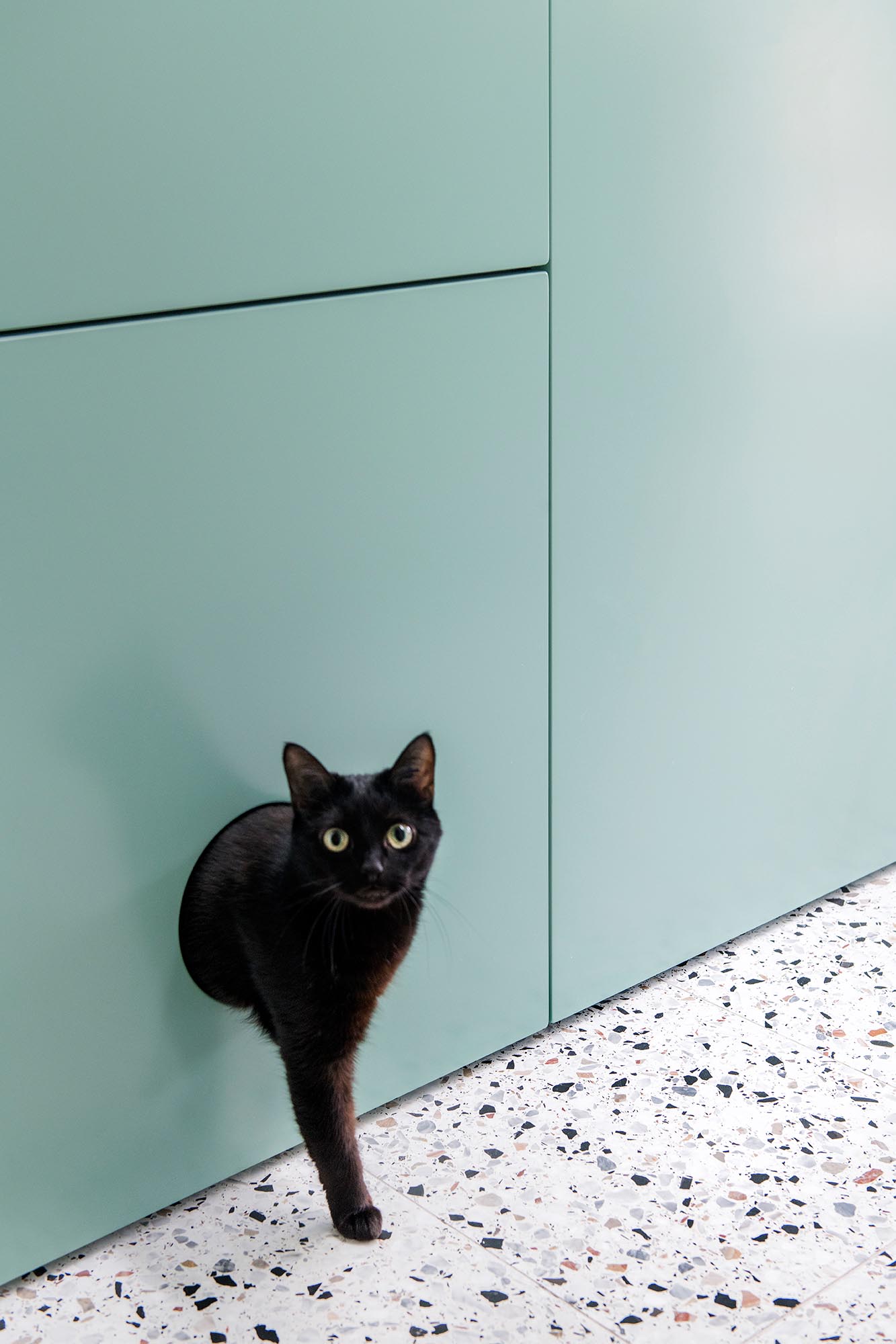 Modern mint green floor-to-ceiling cabinets with a dedicated area for a hidden kitty litter box.