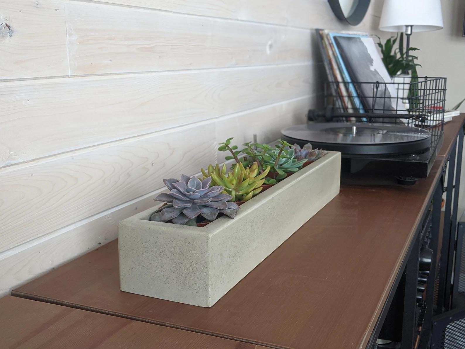 Modern Gift Ideas - Tabletop concrete succulent planter.