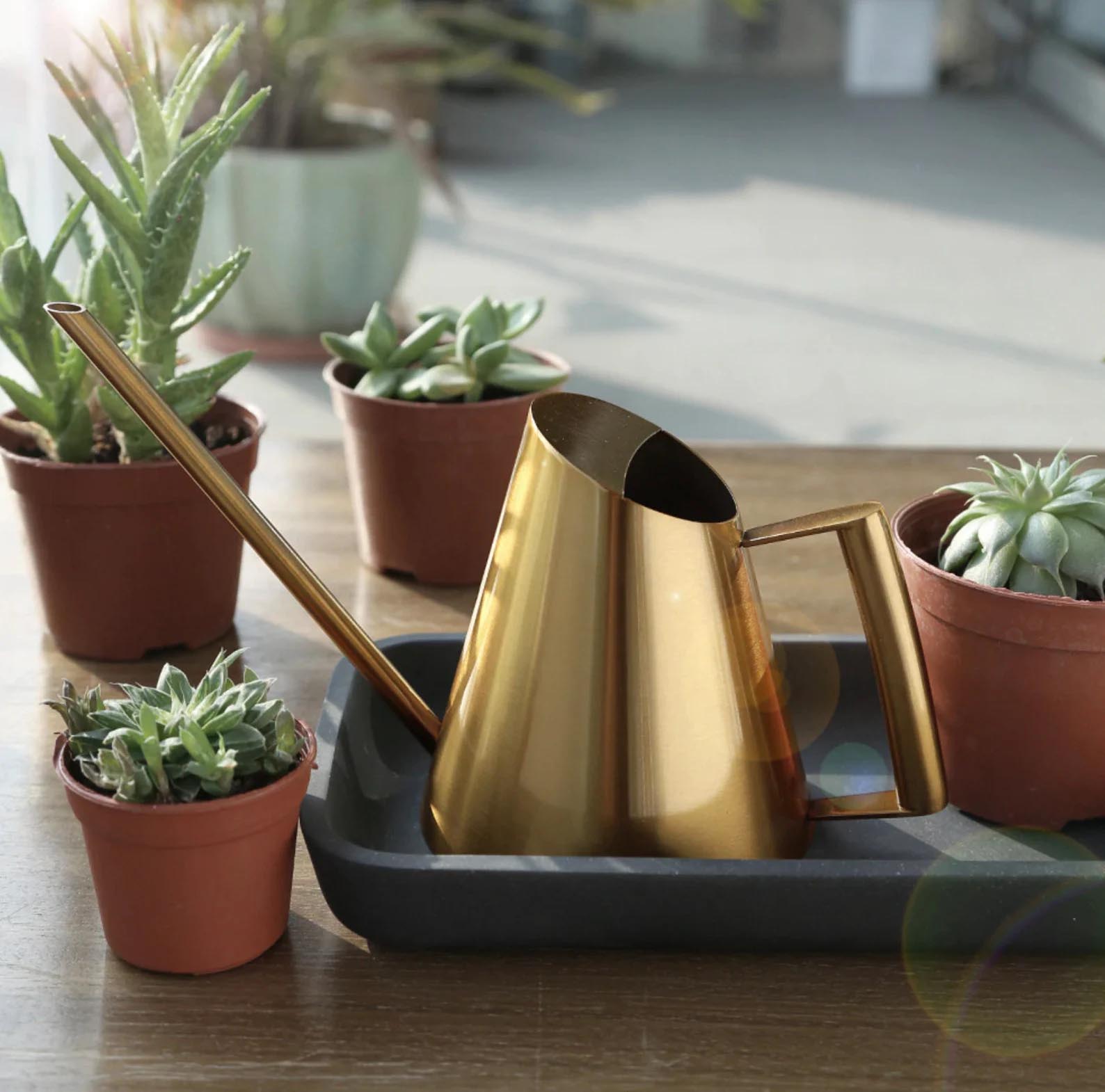 Modern Gift Ideas - Watering Can.