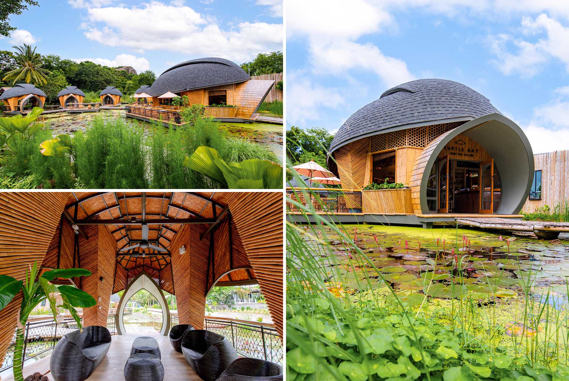 A modern eco-lodge in Thailand, that has cabins shaped like turtle shells that surround a lotus pond.