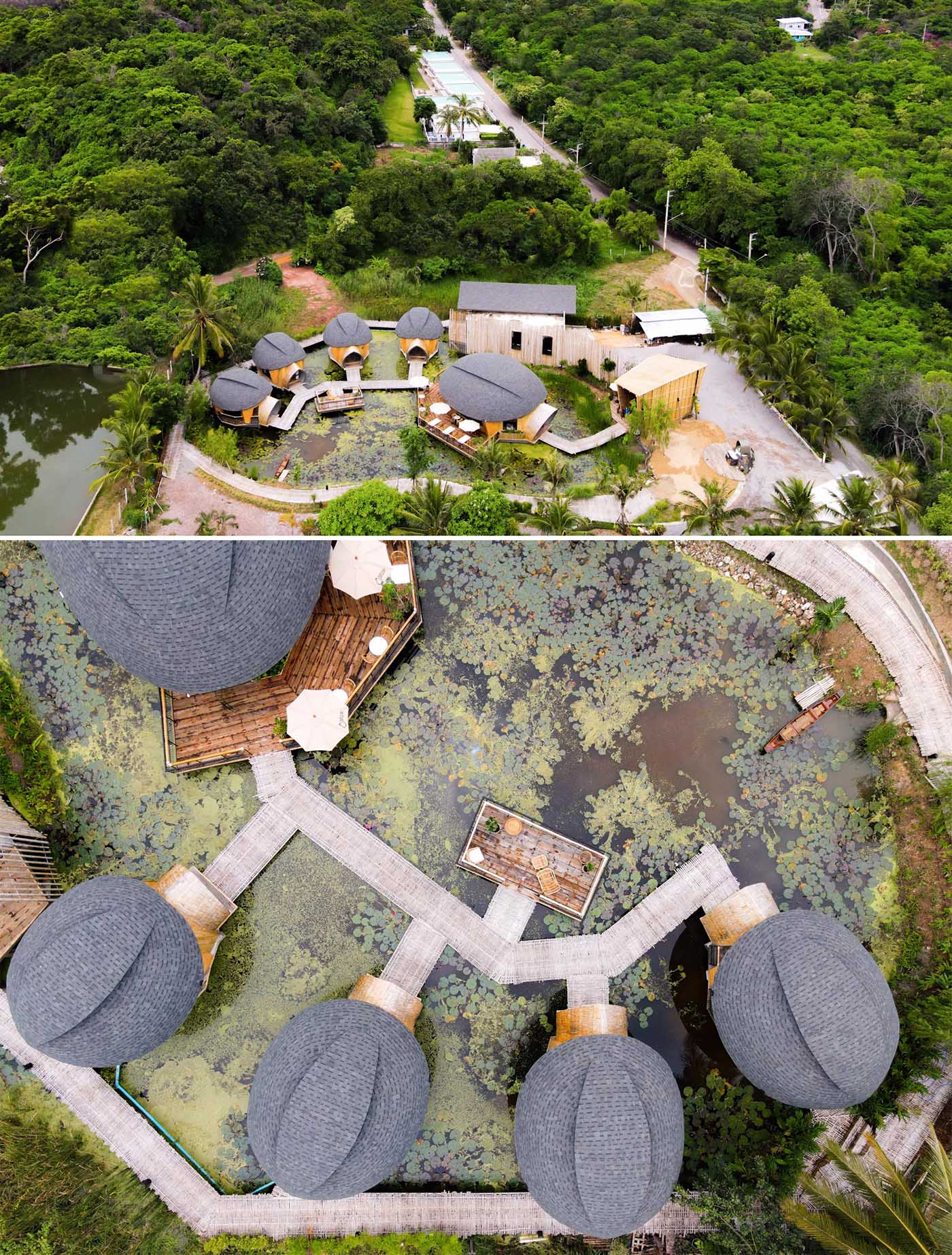 A modern eco-lodge in Thailand, that has cabins shaped like turtle shells that surround a lotus pond.
