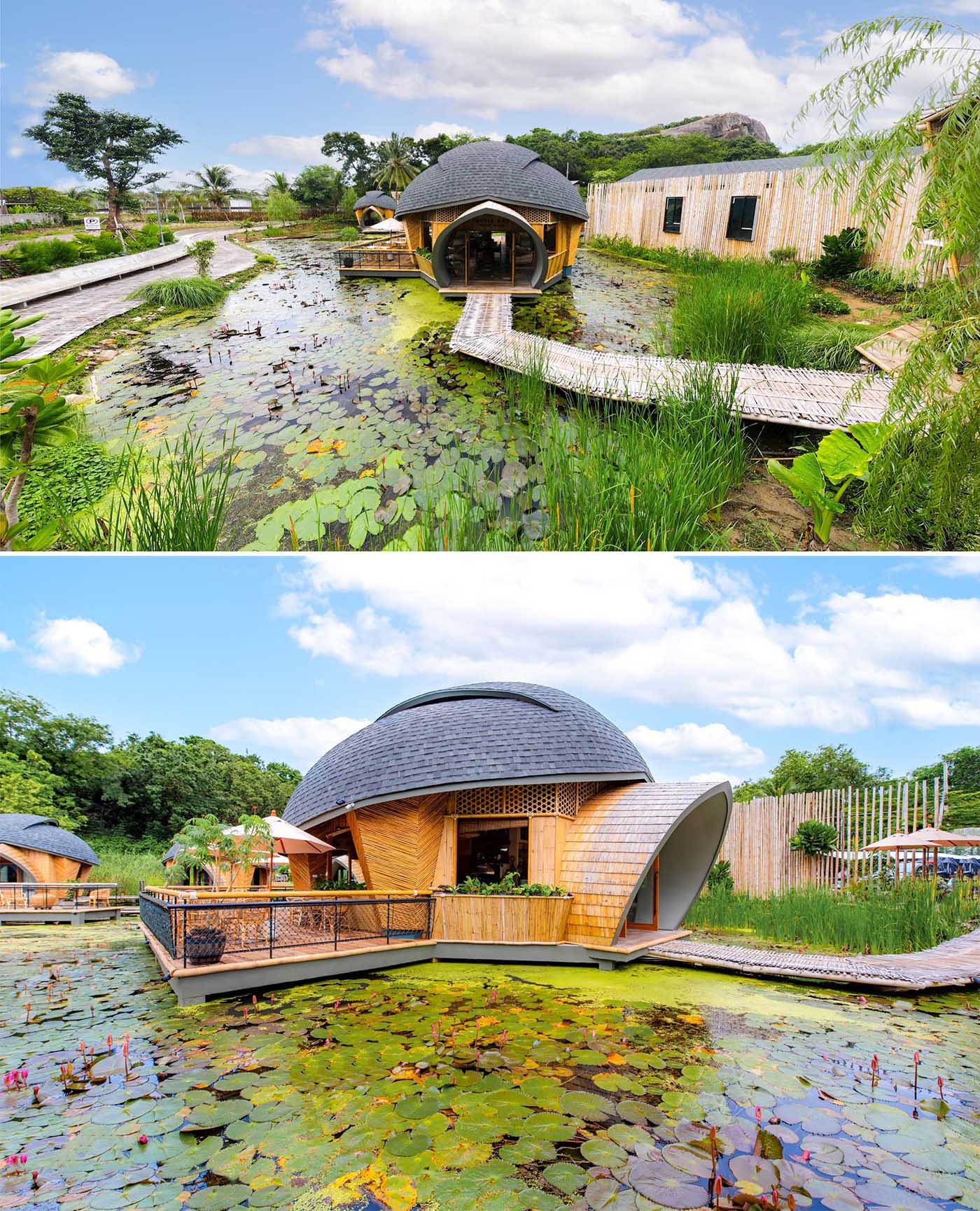 A modern eco-lodge in Thailand, that has cabins shaped like turtle shells that surround a lotus pond.