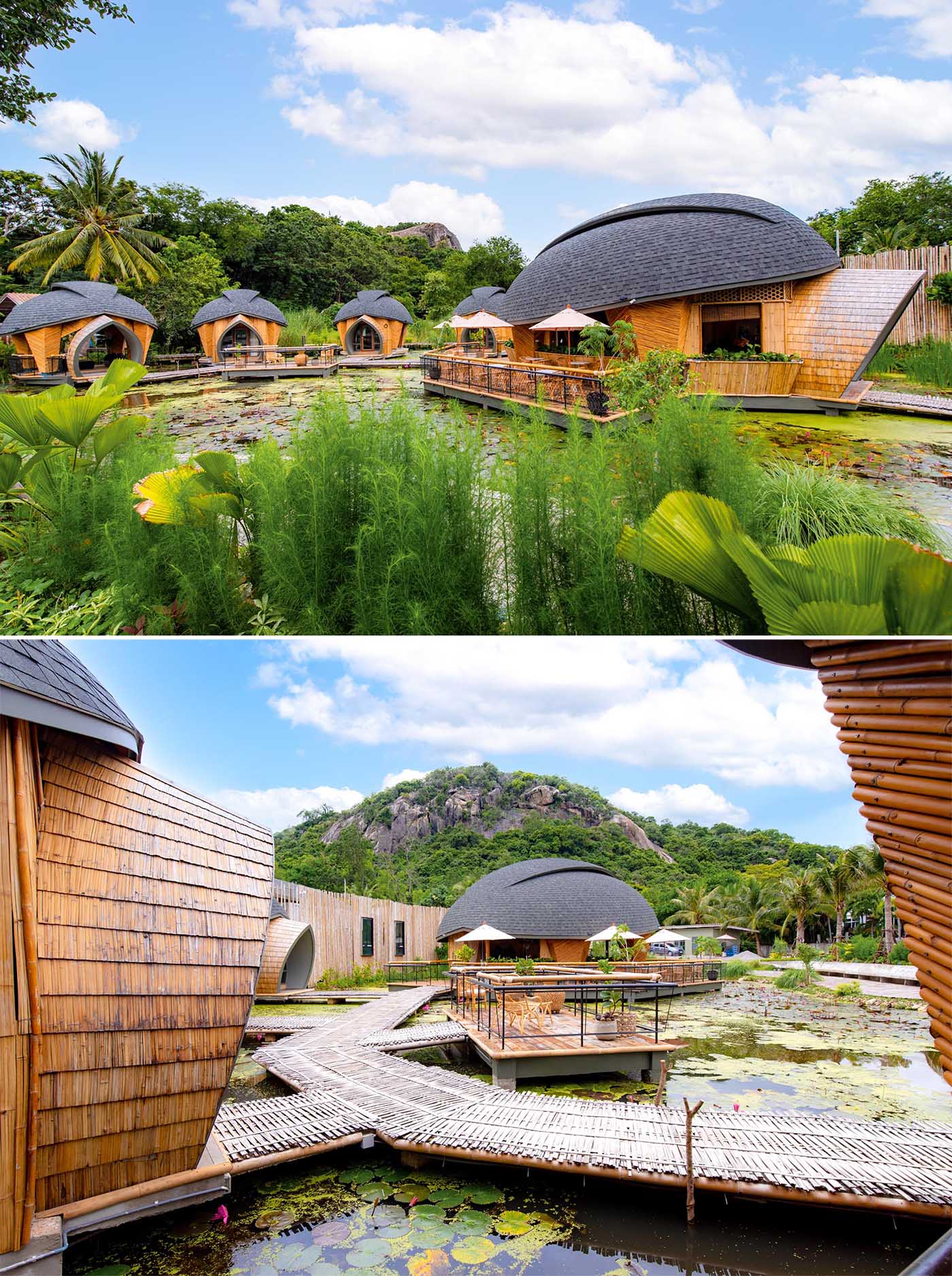 A modern eco-lodge in Thailand, that has cabins shaped like turtle shells that surround a lotus pond.