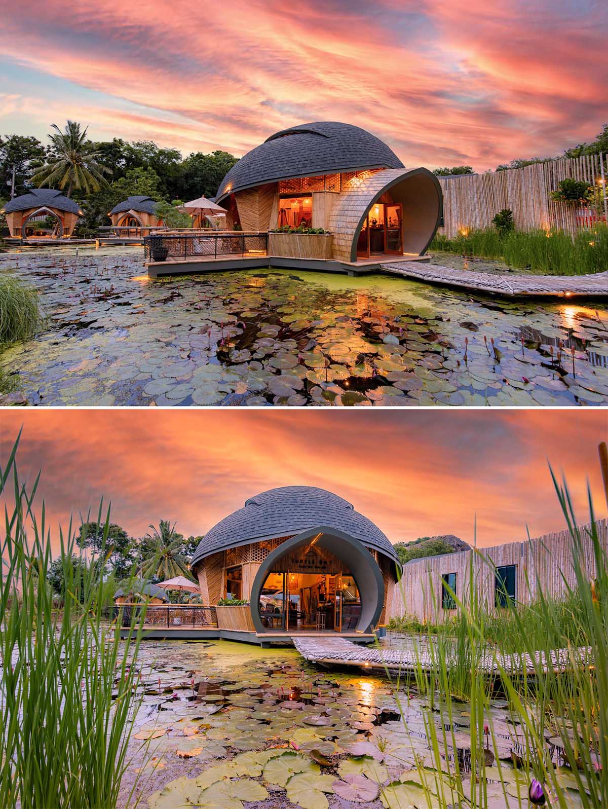 A modern eco-lodge in Thailand, that has cabins shaped like turtle shells that surround a lotus pond.