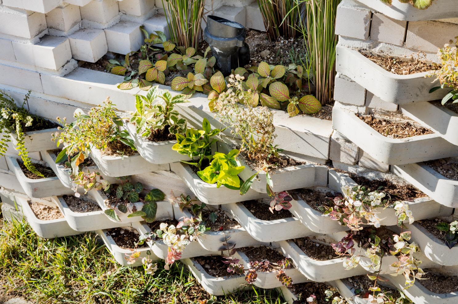 A modern brick building with incorporated plants into the facade.