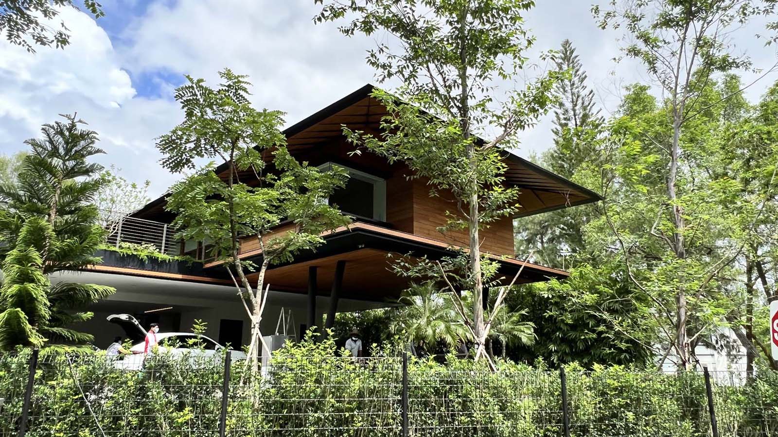 A modern house surrounded by plants.