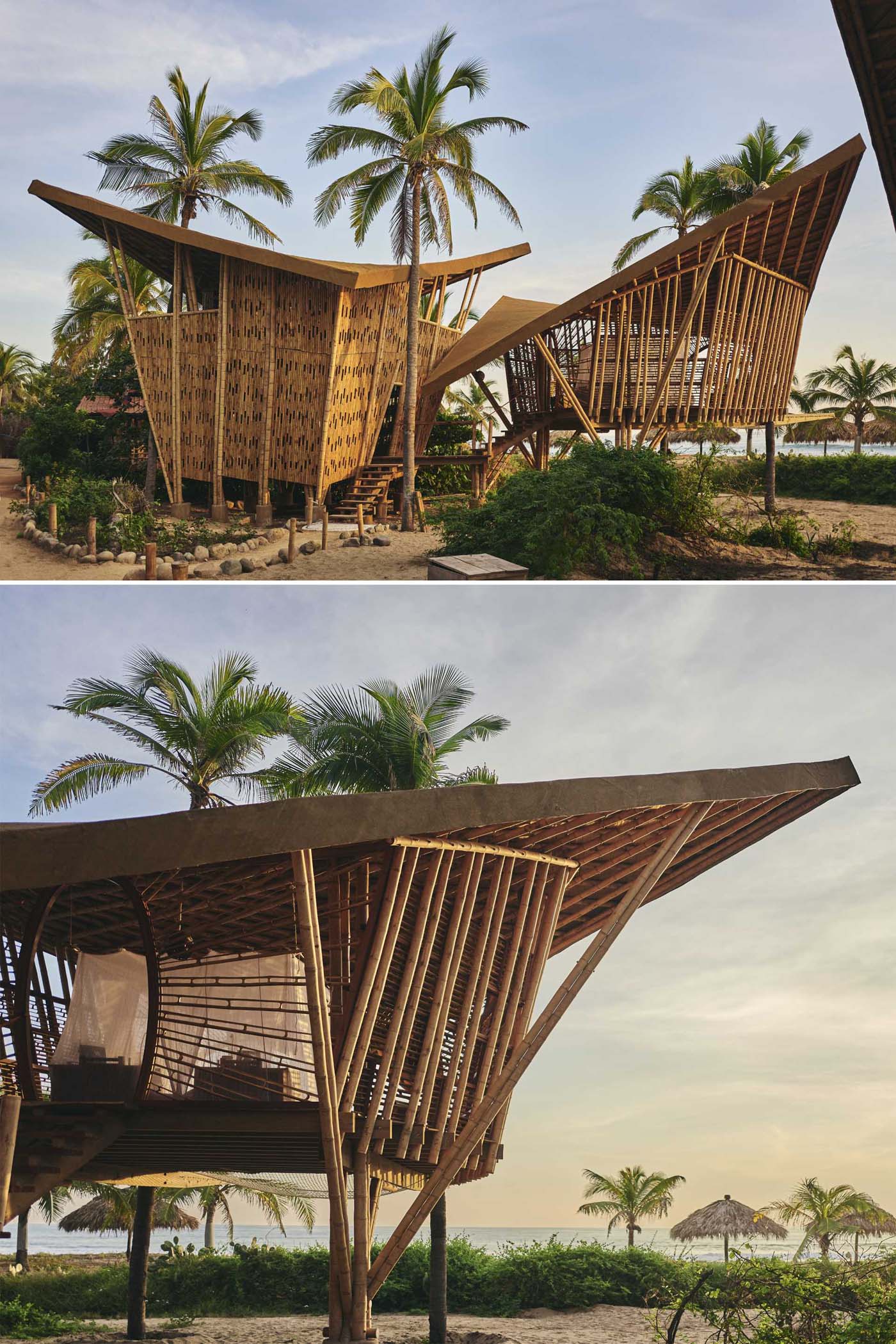 Modern bamboo treehouses inspired by Mobula Rays.