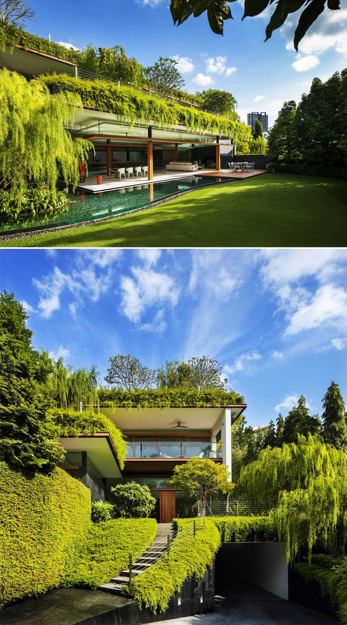 This house has rooftop gardens with plants that flow over the edges.