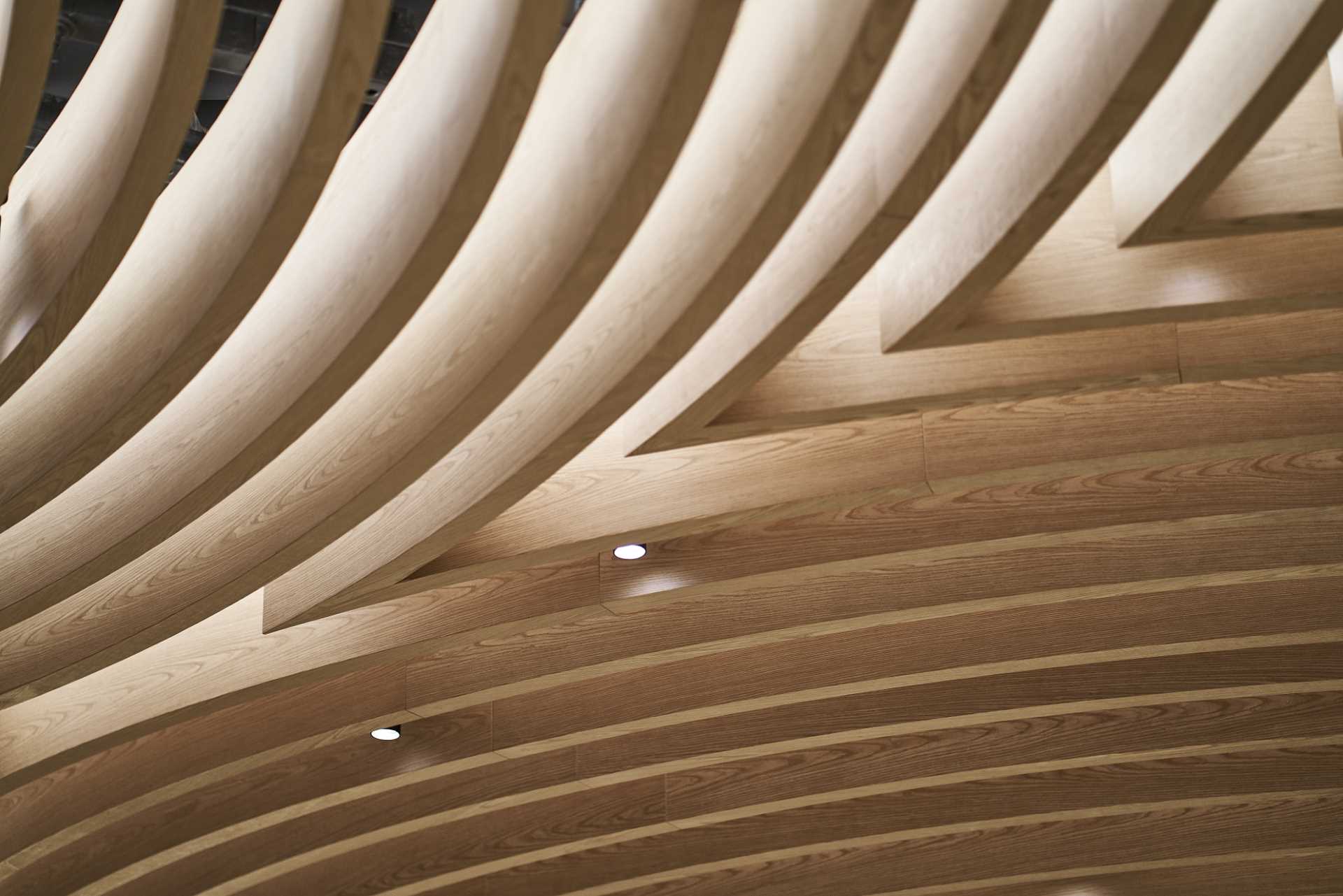 A sculptural ceiling includes curved wood in geometric patterns.