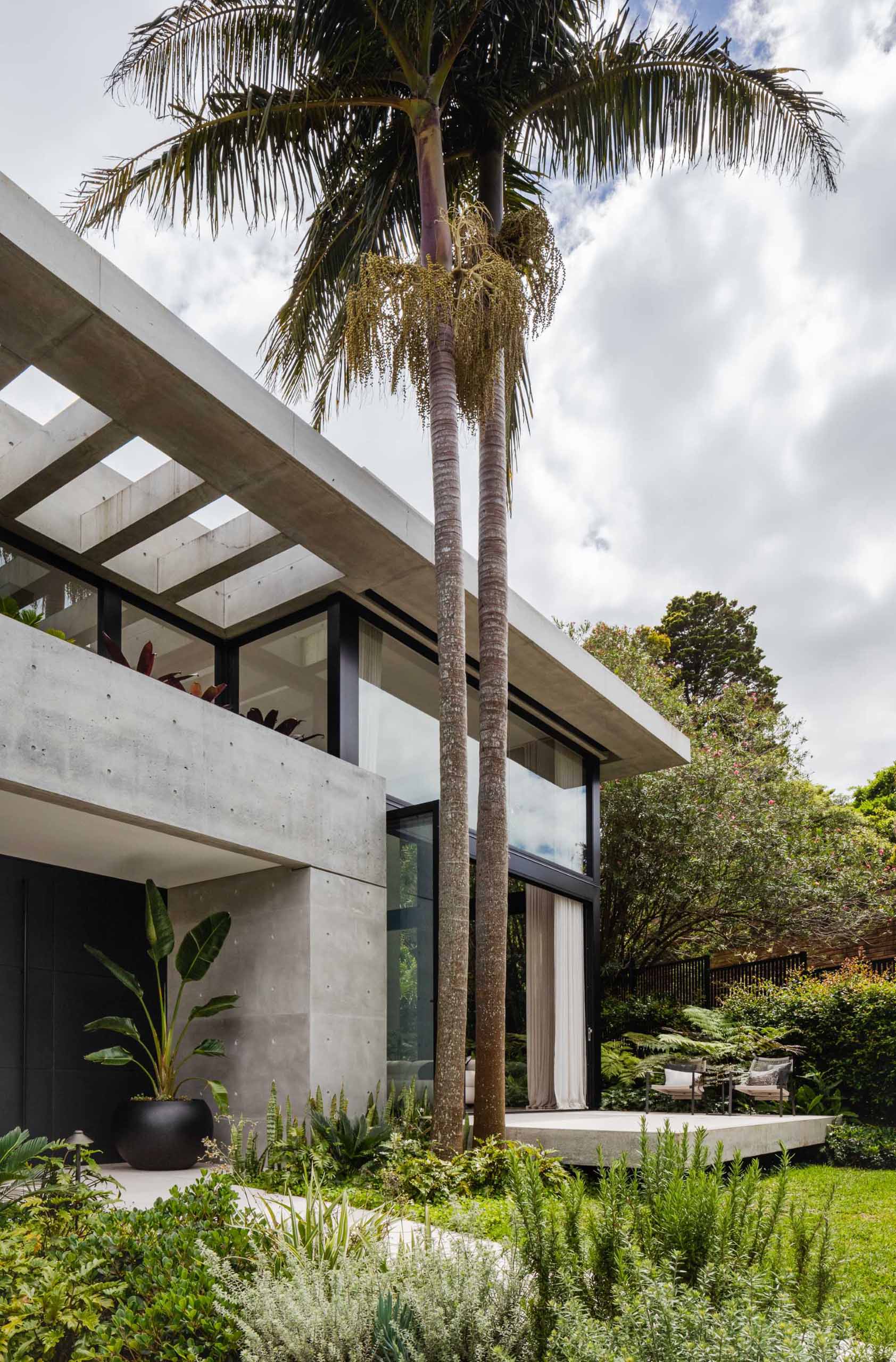 A modern home with a concrete floating deck, which extends under the canopy of the palms, creating a natural connection between the house and front garden.