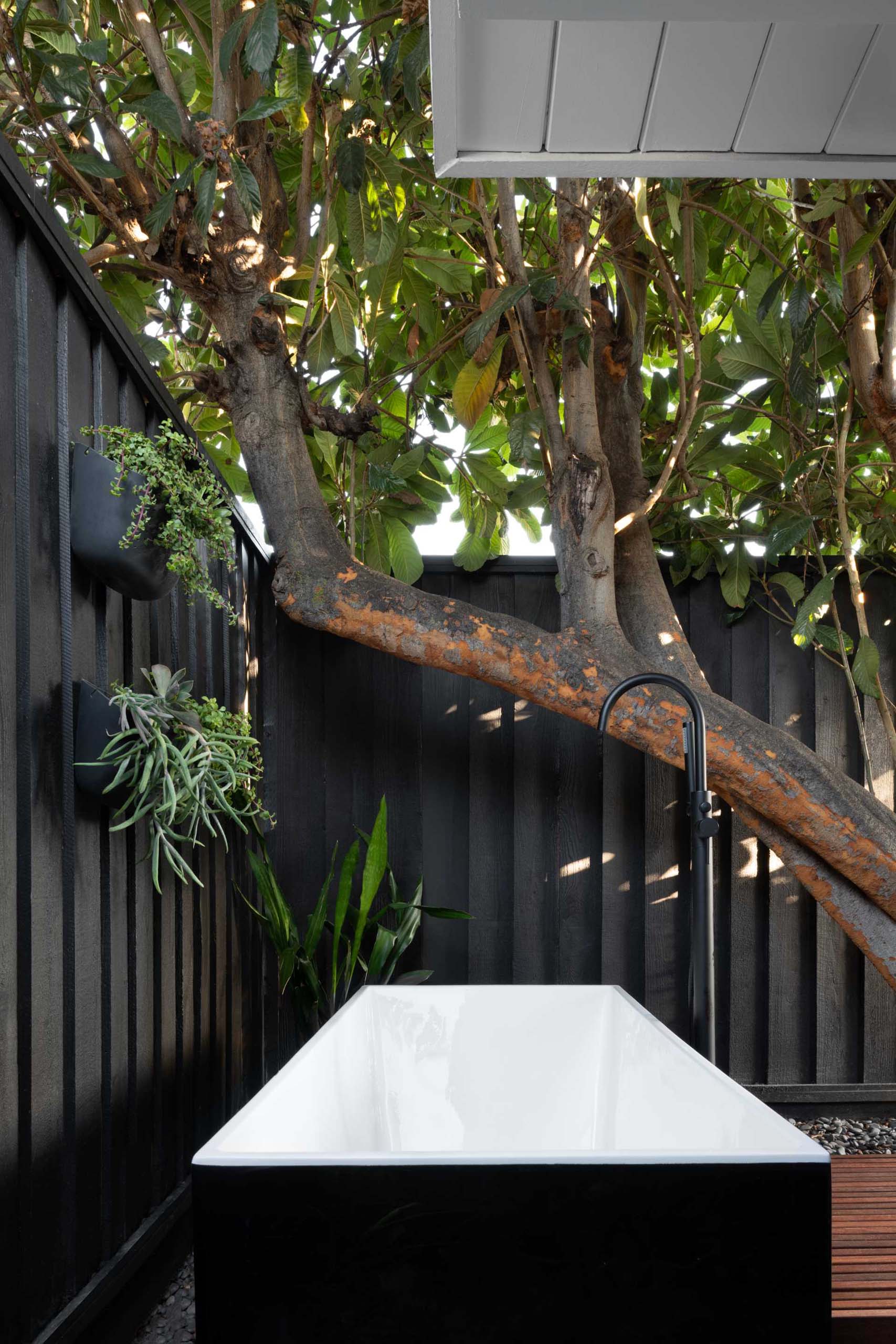 A modern outdoor bathtub surrounded by a tall black fence and plants.