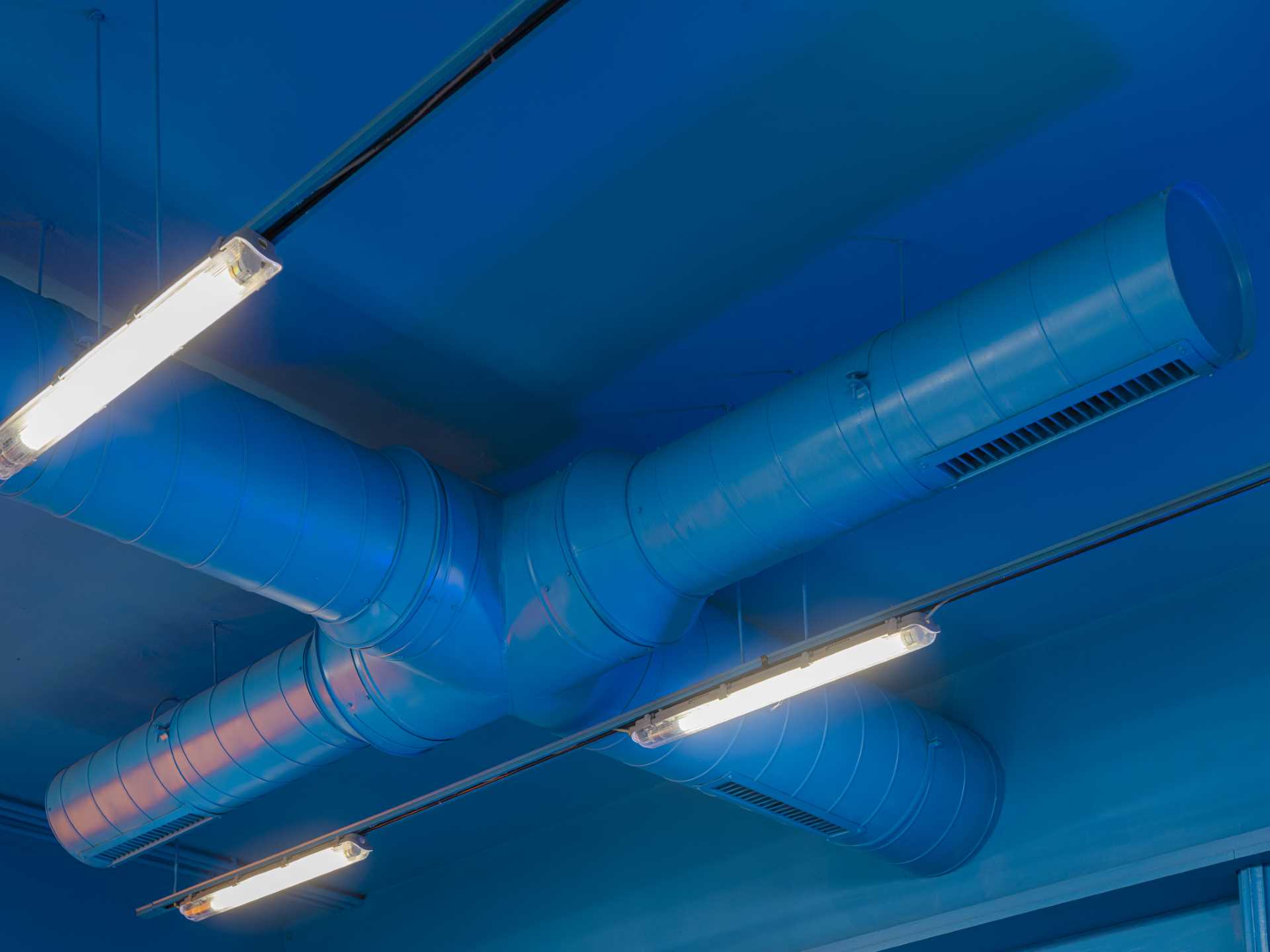 The ceiling of this modern ice cream shop has also been painted in the same blue, allowing the ducting and light tracks to somewhat blend into the background.