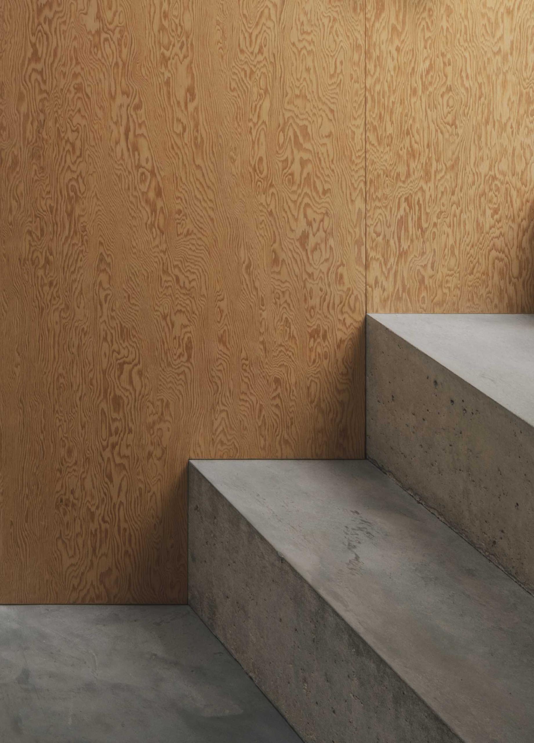 Modern polished concrete stairs with a Douglas Fir wood wall.