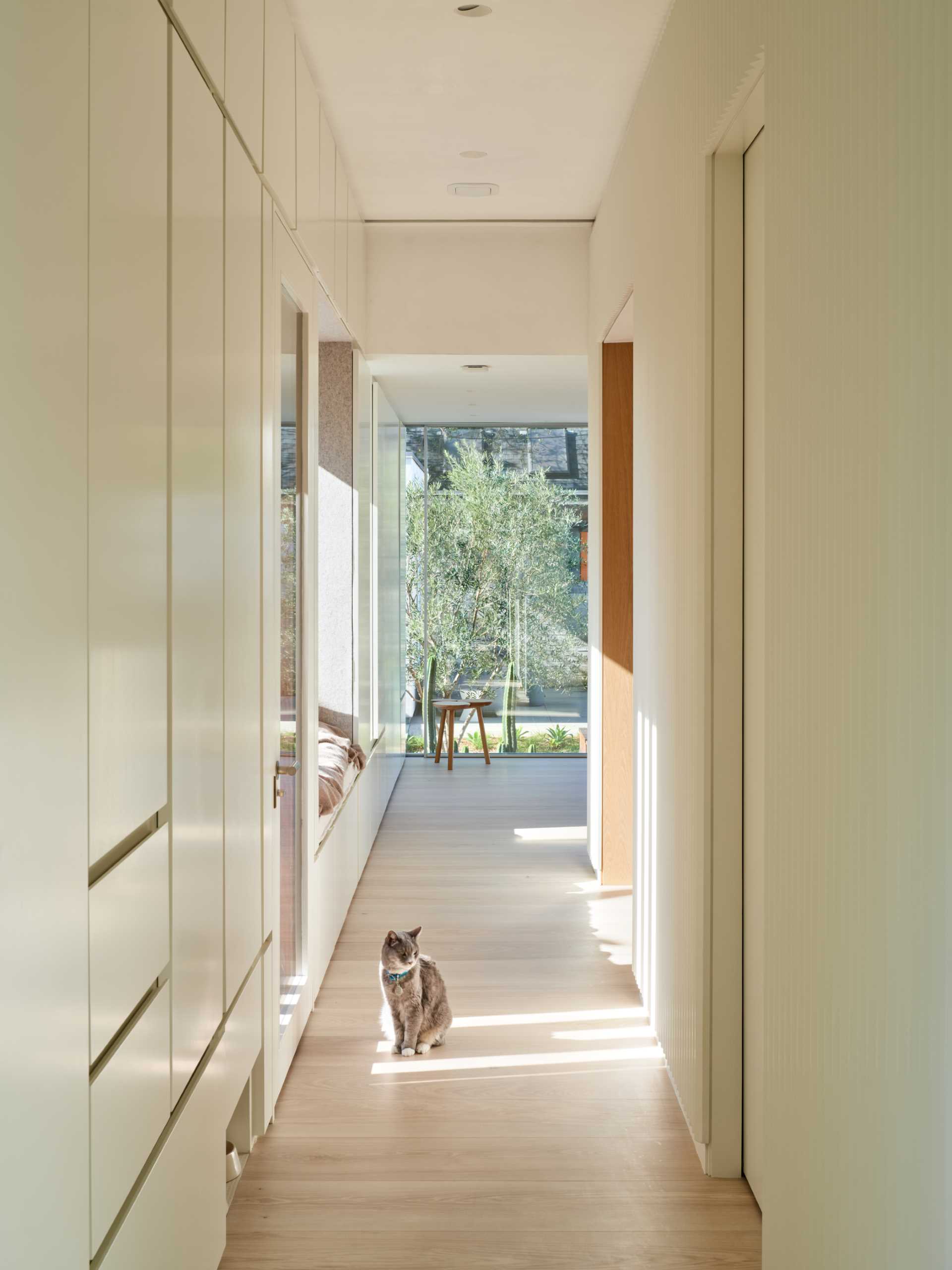 A design detail in this modern hallway is a small section of the cabinets dedicated to a cat's food station and built-in litterbox.