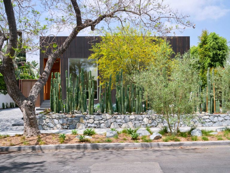 Cacti Were Used To Create Privacy For This Home In Los Angeles