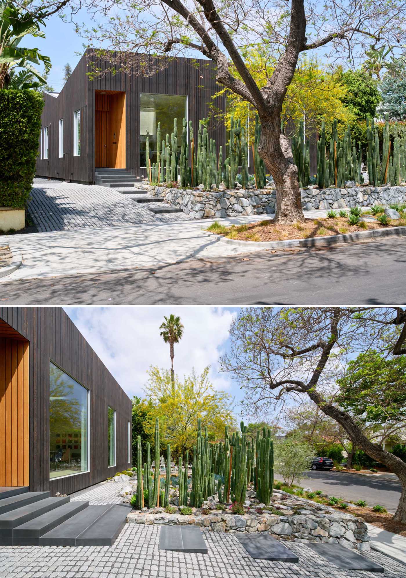 The front garden of this modern house, has been created with a dense screen of San Pedro cacti, replacing the need for a front fence.