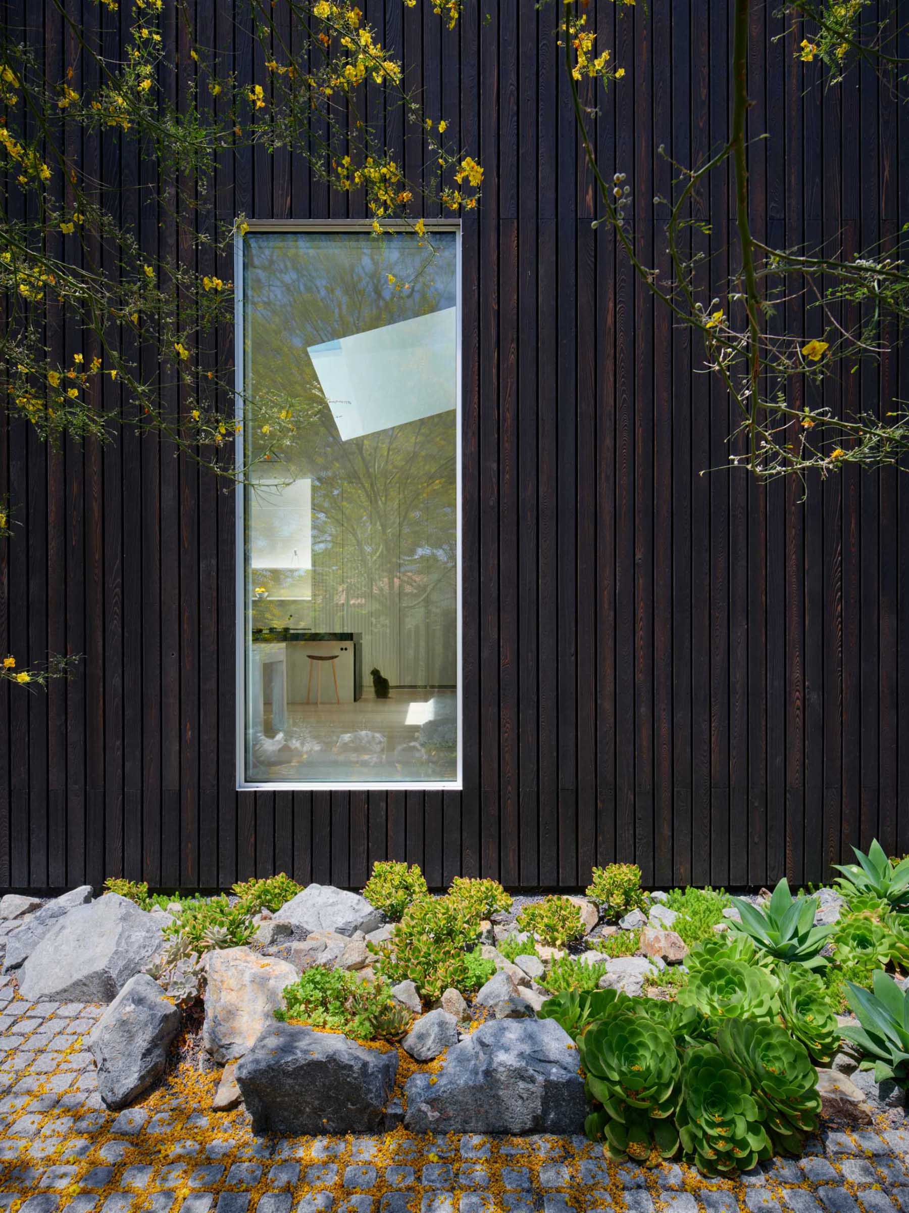 This modern house has a minimalist rectilinear form clad in charred shou sugi ban rainscreen siding.