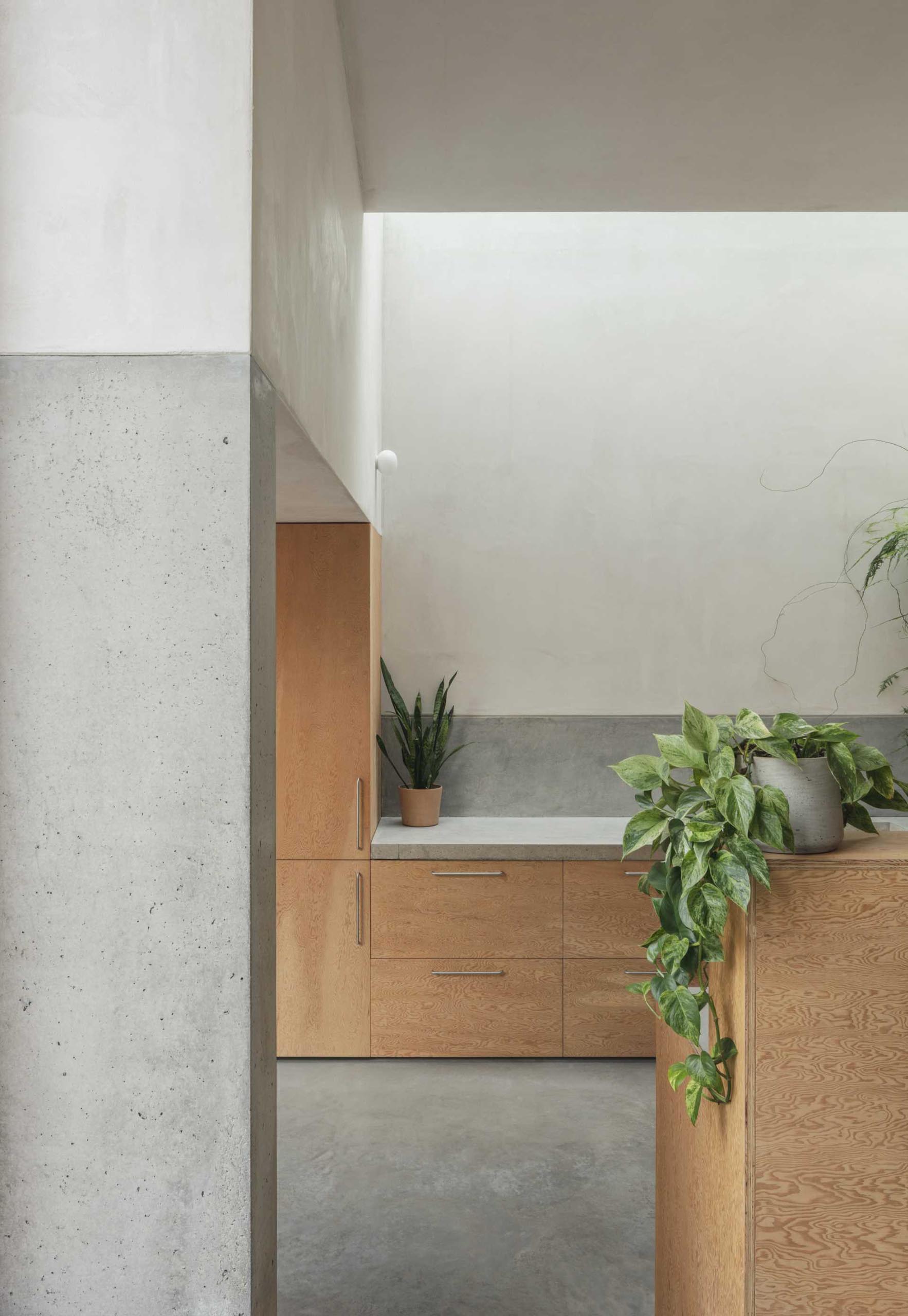 A modern kitchen with Douglas Fir wood cabinets and a concrete countertop.