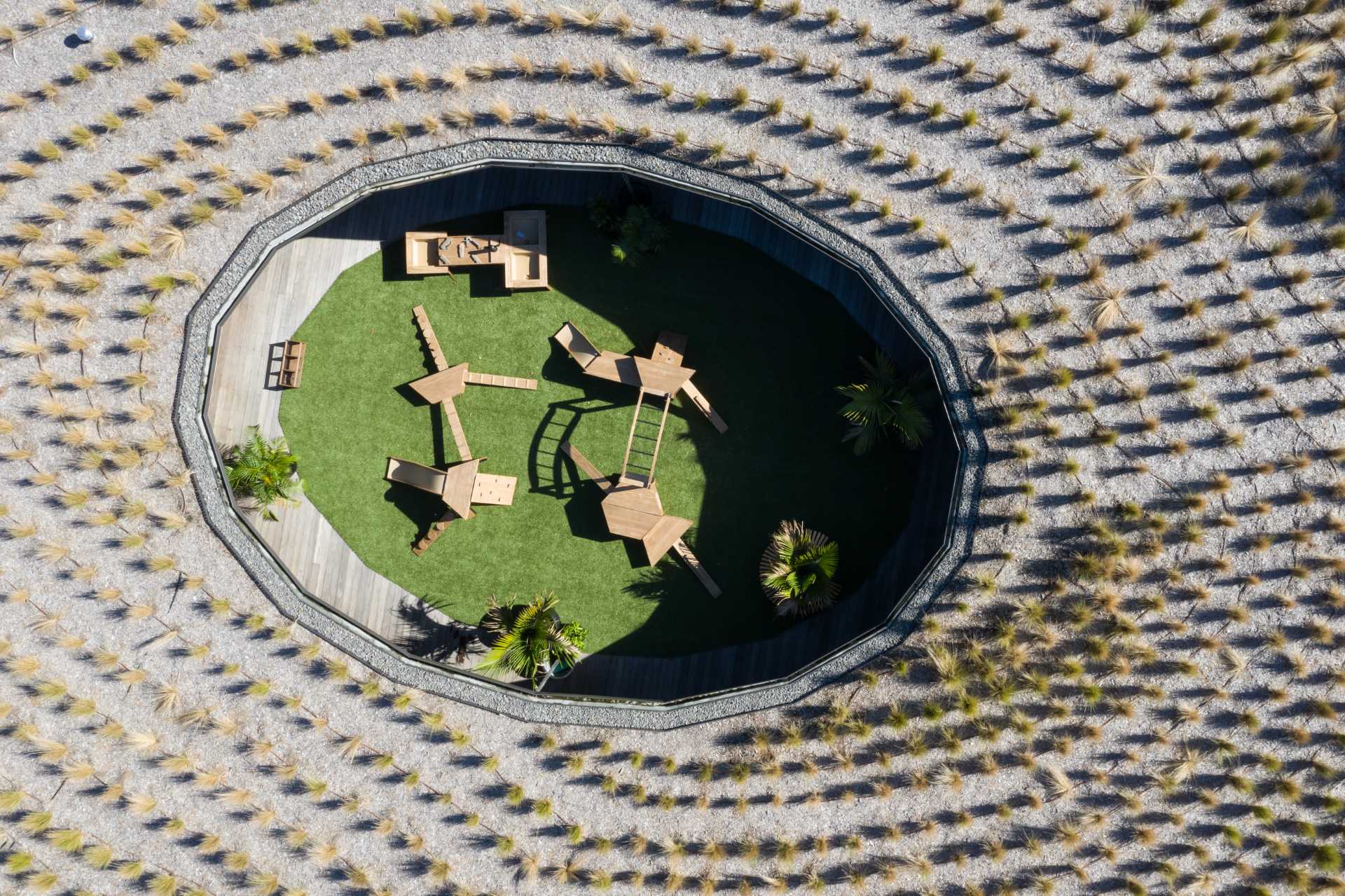 Natural grasses top a circular green roof of an early learning centre.