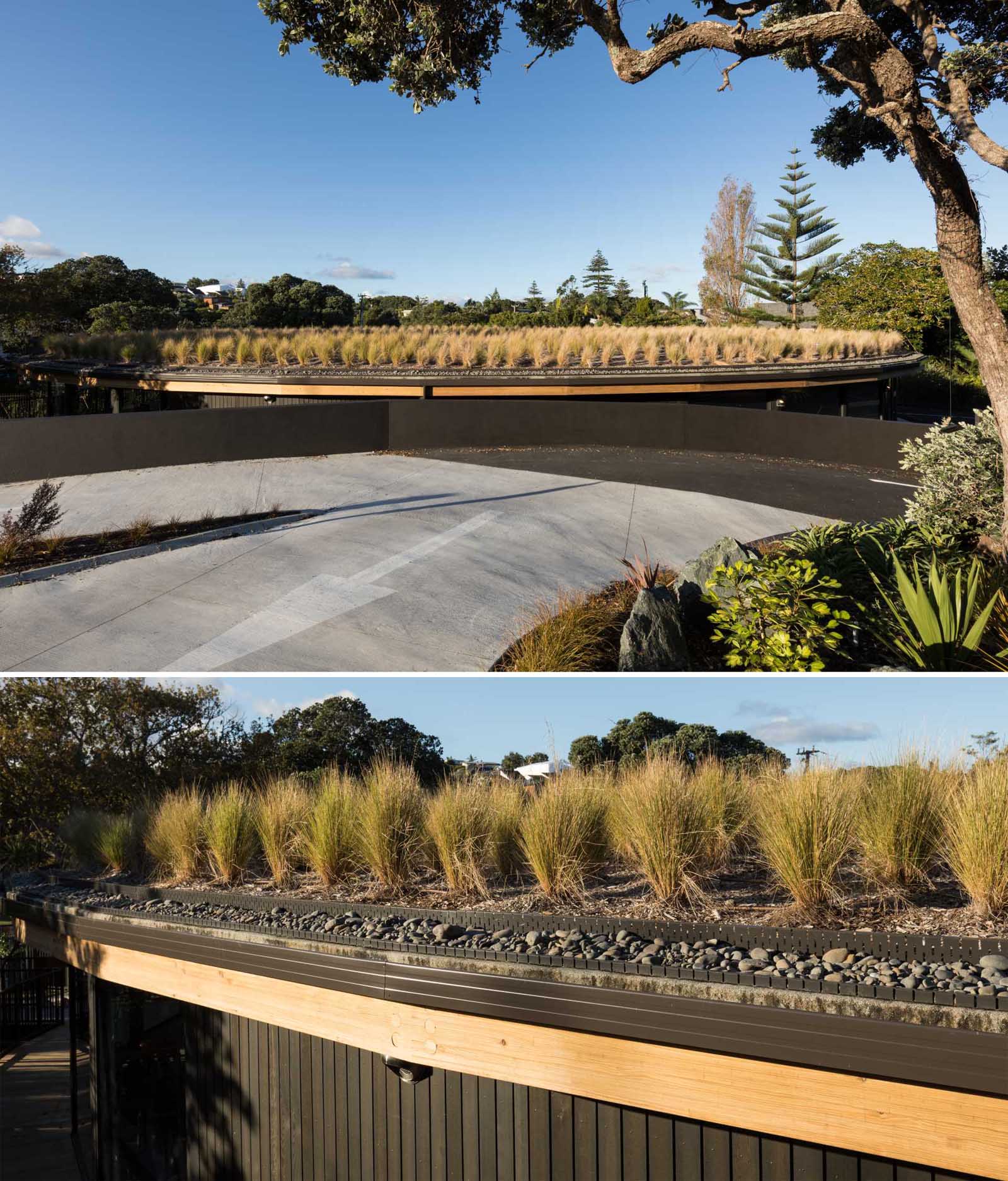 Natural grasses top a circular green roof of an early learning centre.