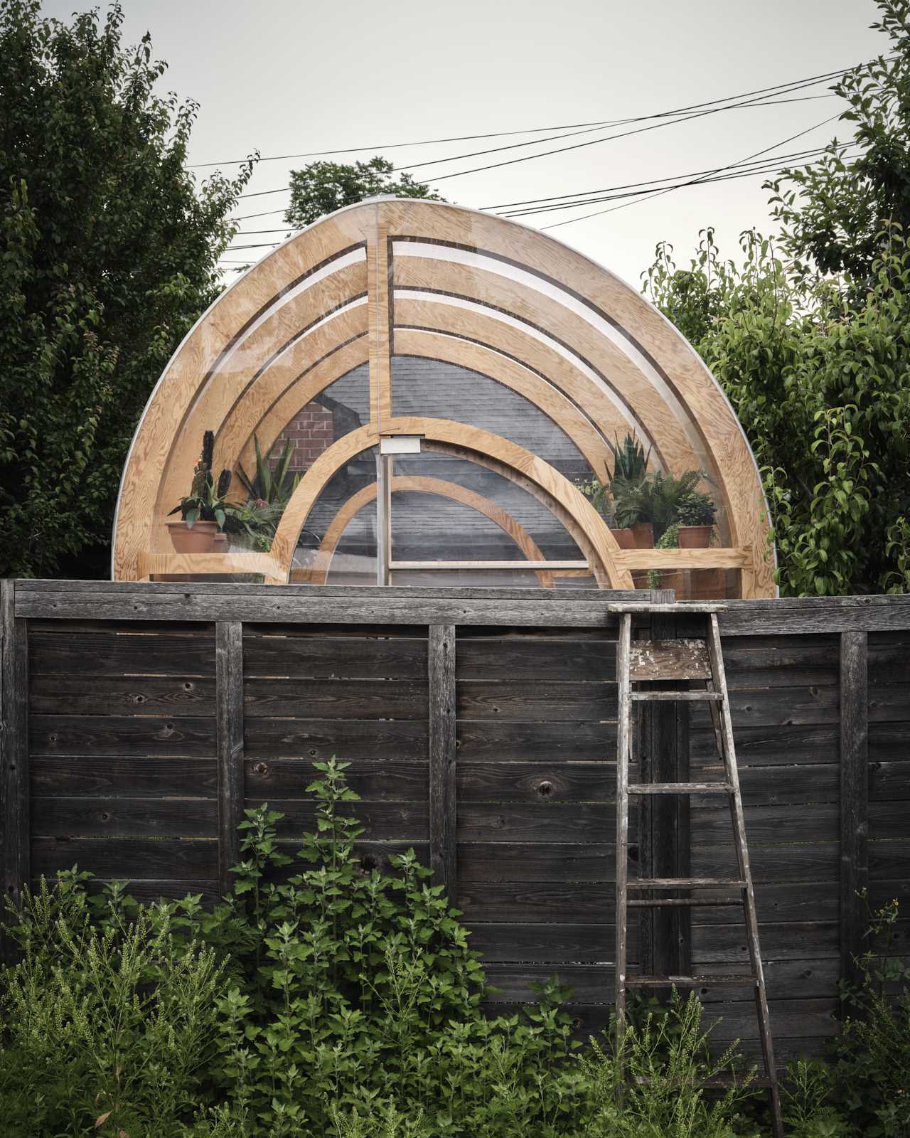 A modern and modular backyard greenhouse design with a curved shape.