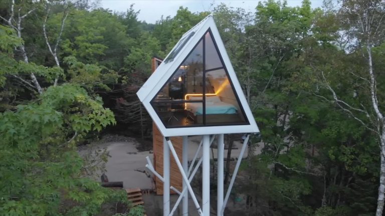 This Small Cabin Was Elevated To Be Among The Treetops