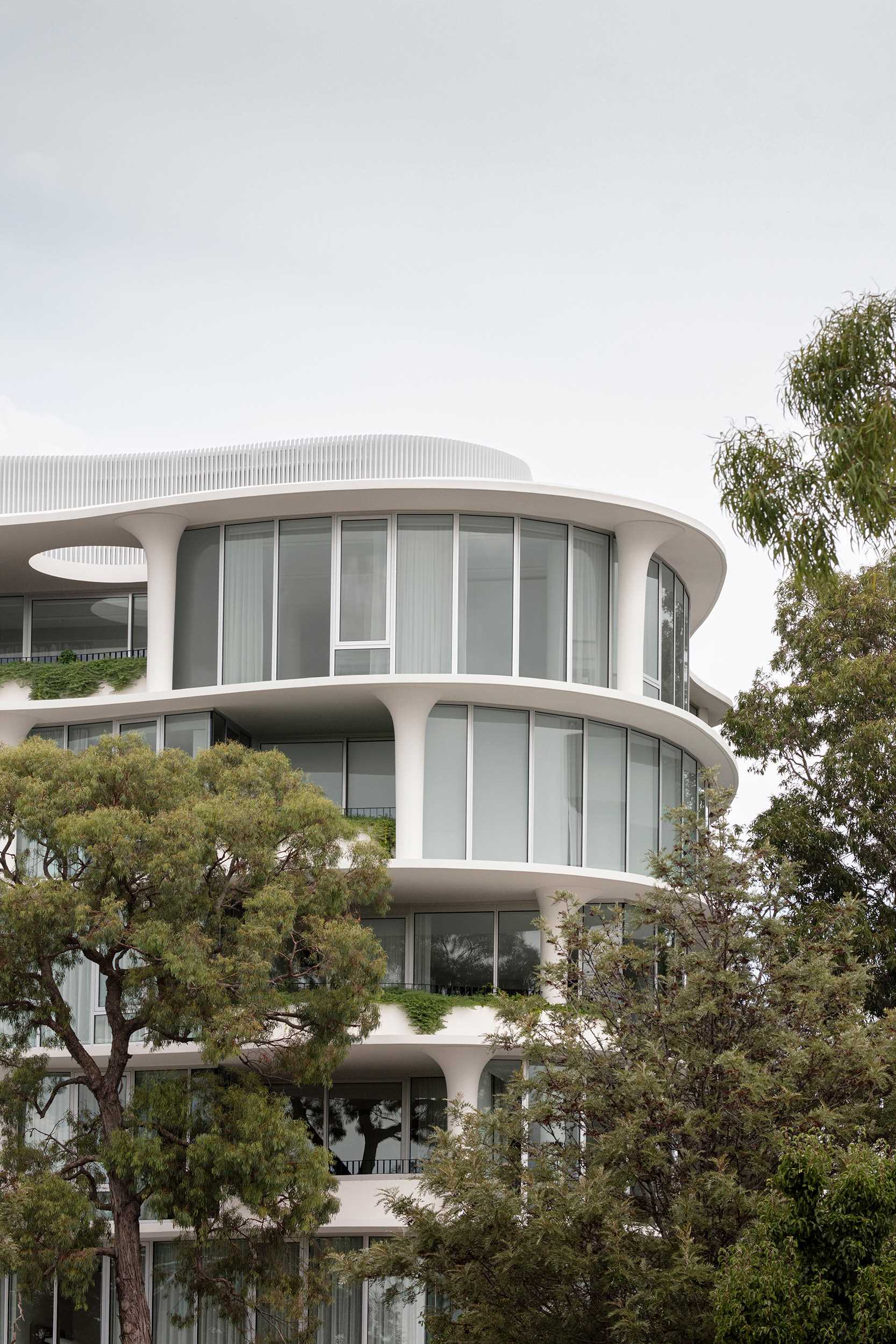 A modern building with an organic shape, also includes fluted columns.