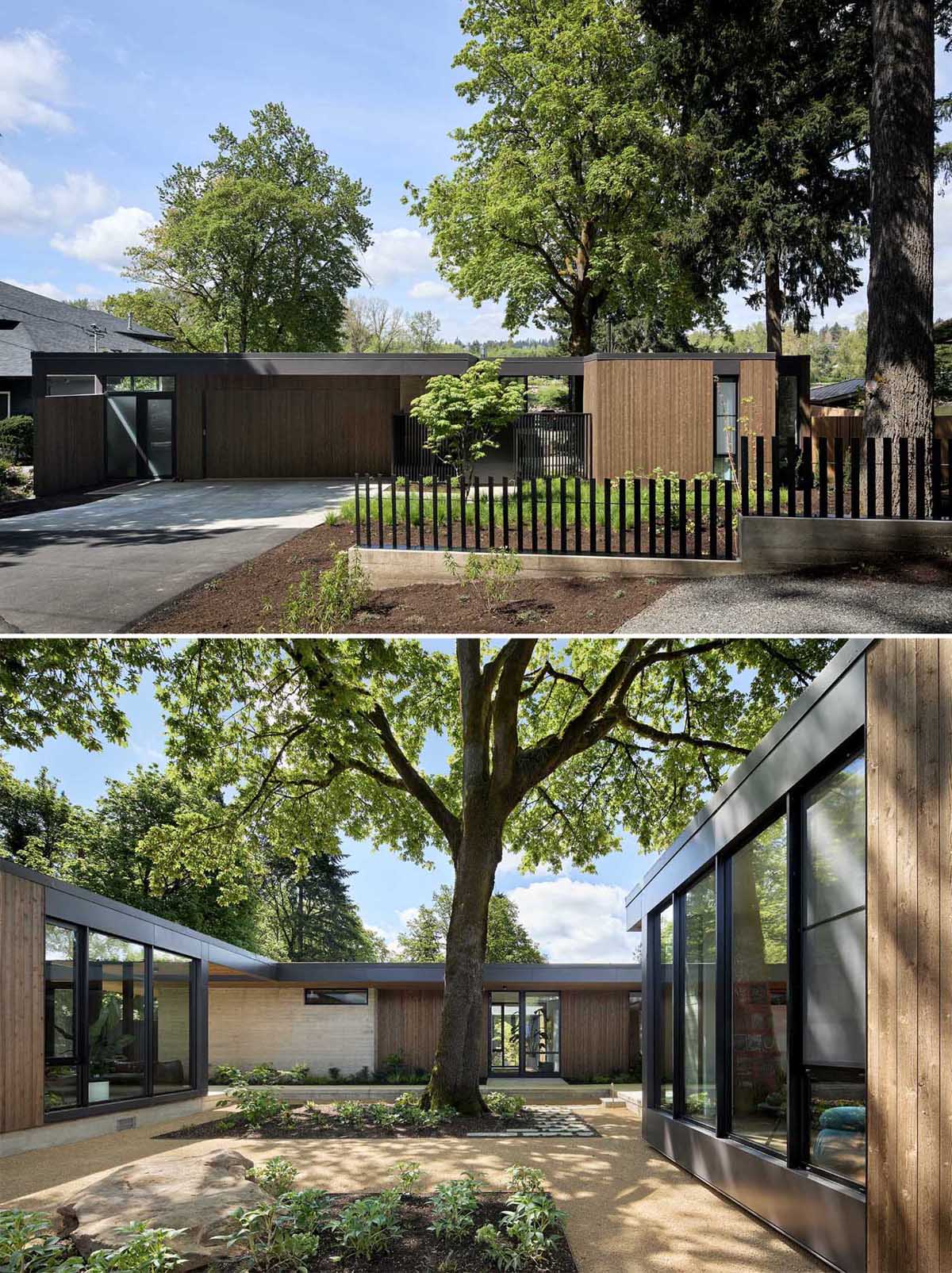 Inspired by the architects’ New Mexico origins, the main house and guest house form a one-story compound organized around a central courtyard, where a mature maple tree was preserved as the centerpiece.