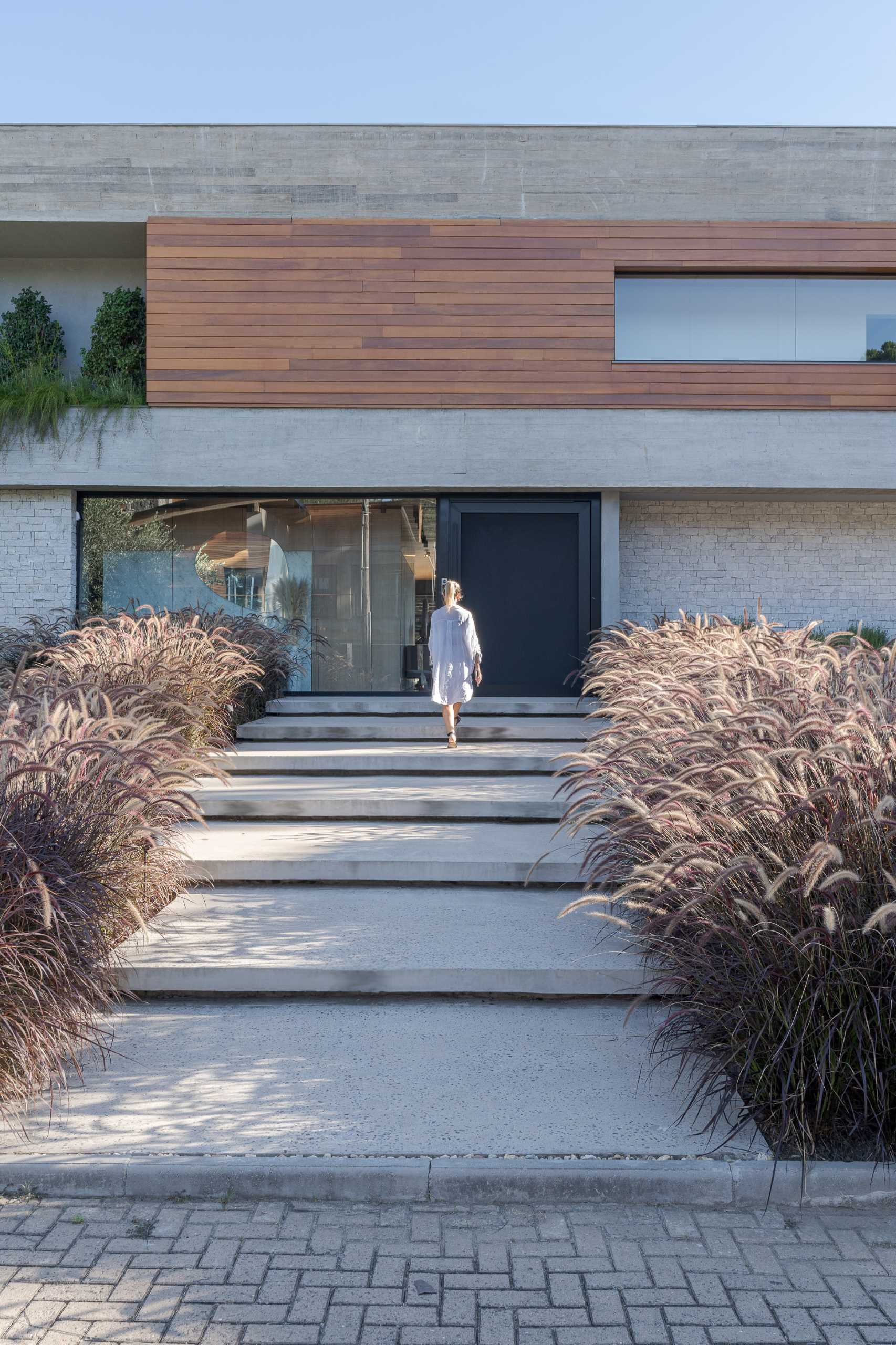 A modern stepped pathway lined with plants guides visitors to the front door of this modern home.