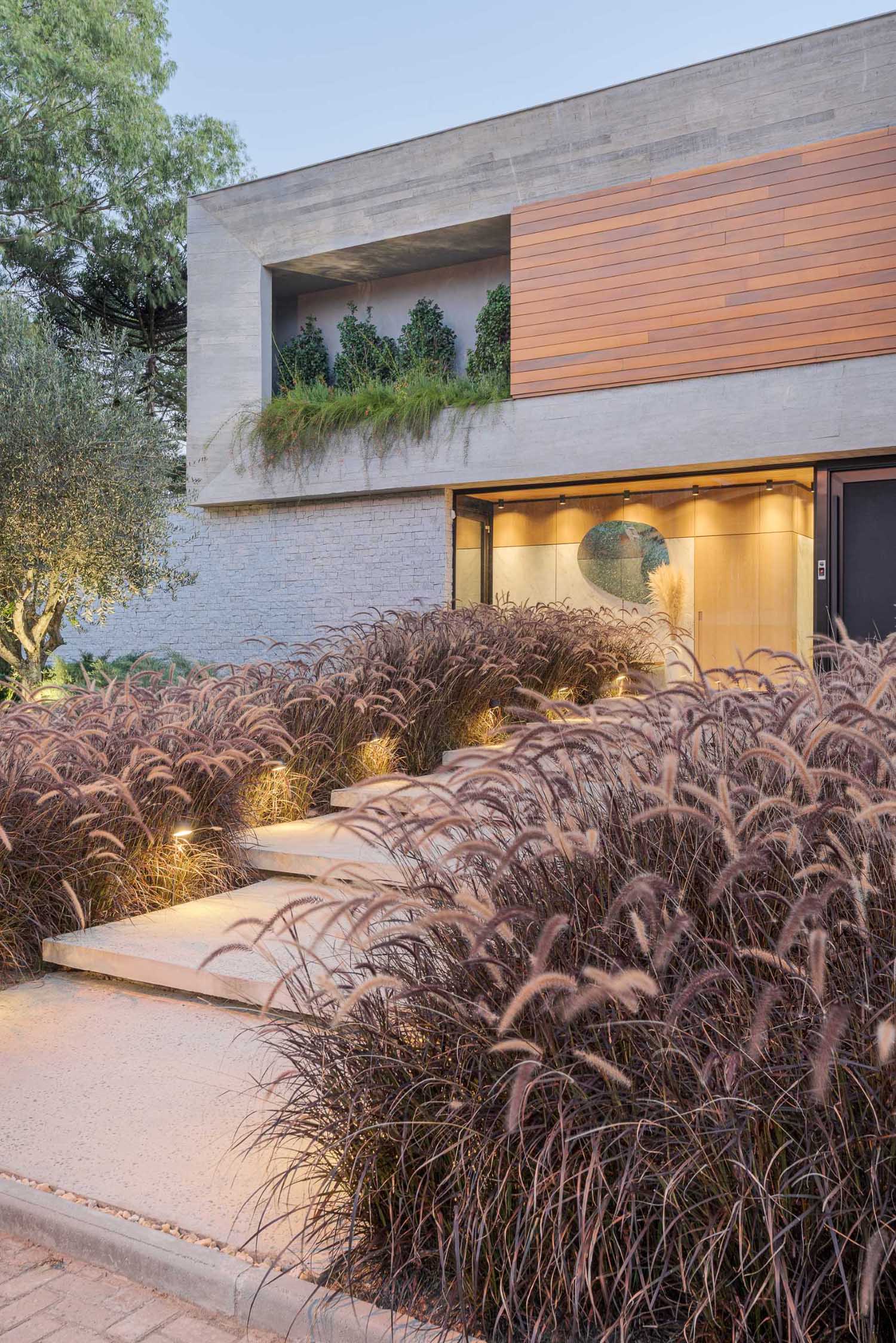A modern stepped pathway lined with plants guides visitors to the front door of this modern home.