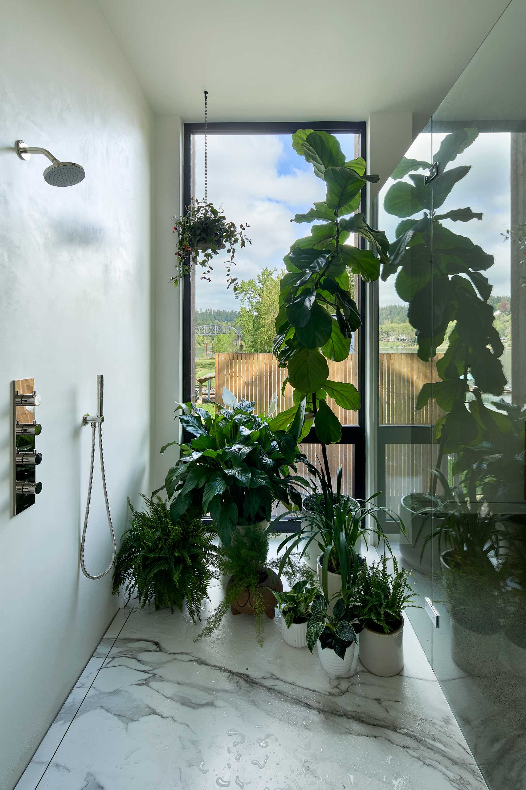 This modern shower has a floor-to-ceiling window that has privacy created by using plants.