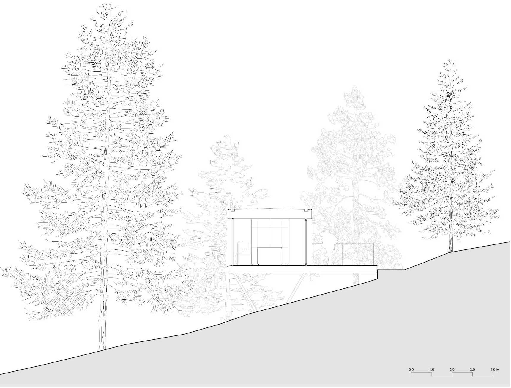 نموداری برای خانه کوچکی که در میان درختان قرار گرفته است.