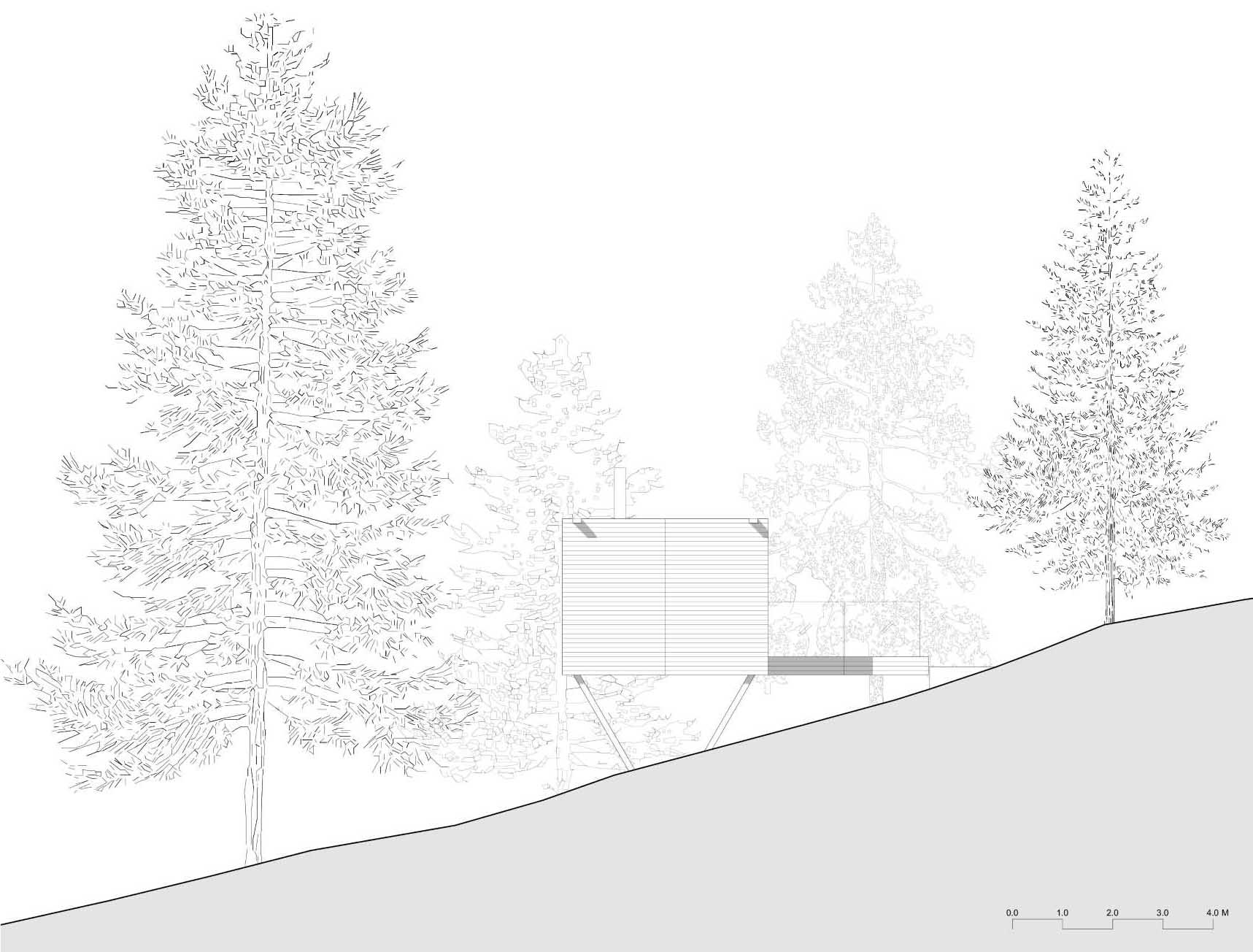 A diagram for a small home nestled within the trees.