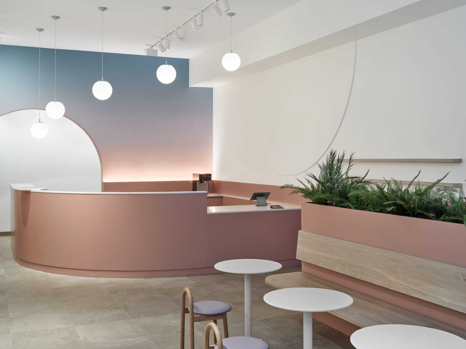 A modern cafe with a calm and relaxed atmosphere, a colorful feature wall. and curved designs.