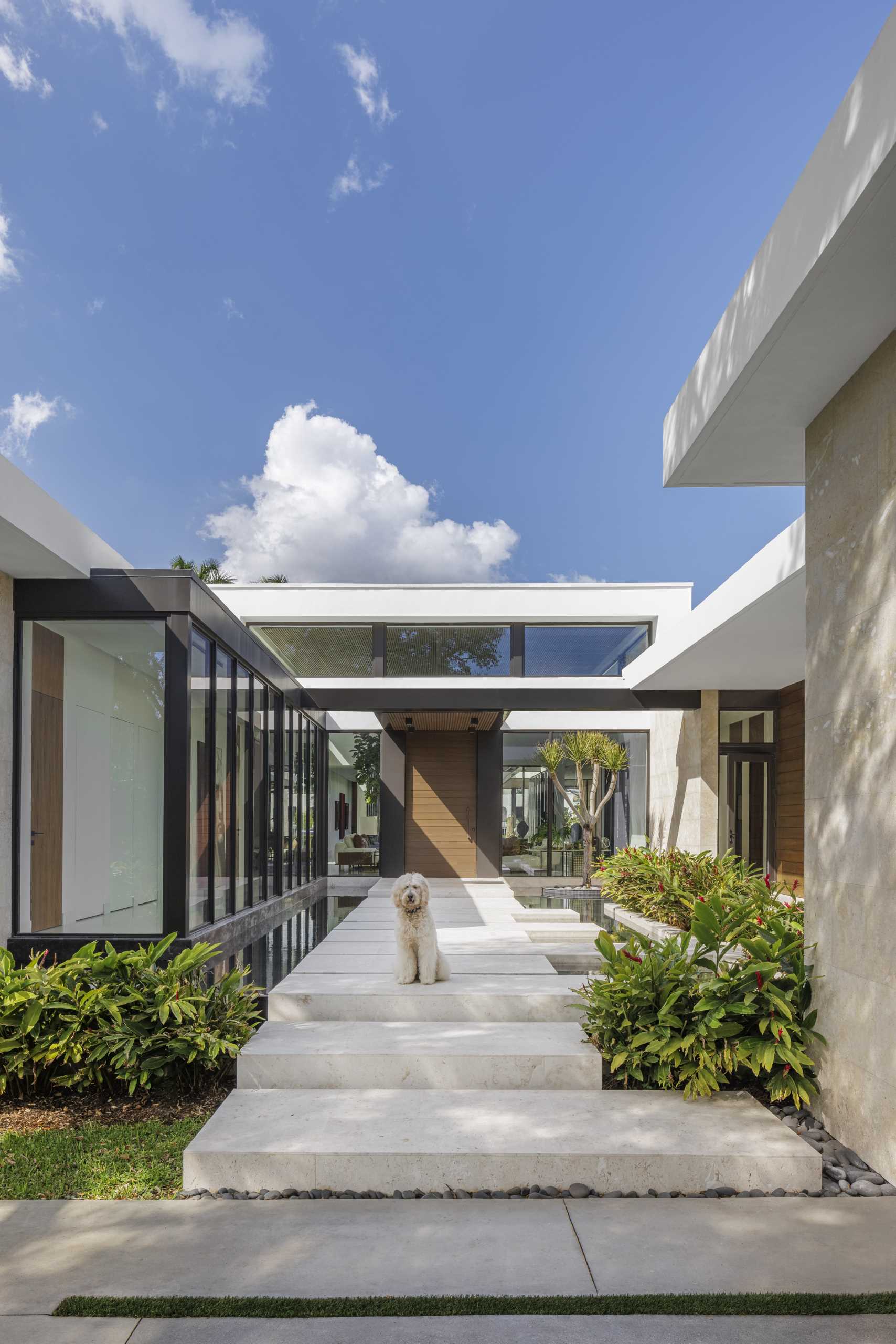 A series of floating concrete steps lead across a pond and guide visitors to the front door. Floor-to-ceiling windows provide a glimpse of the interior.