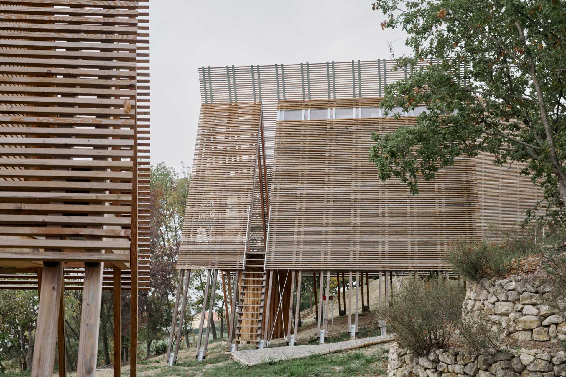 These modern A-frame cabin suites are raised off the ground, a construction approach that responds to the sloping land of the site.