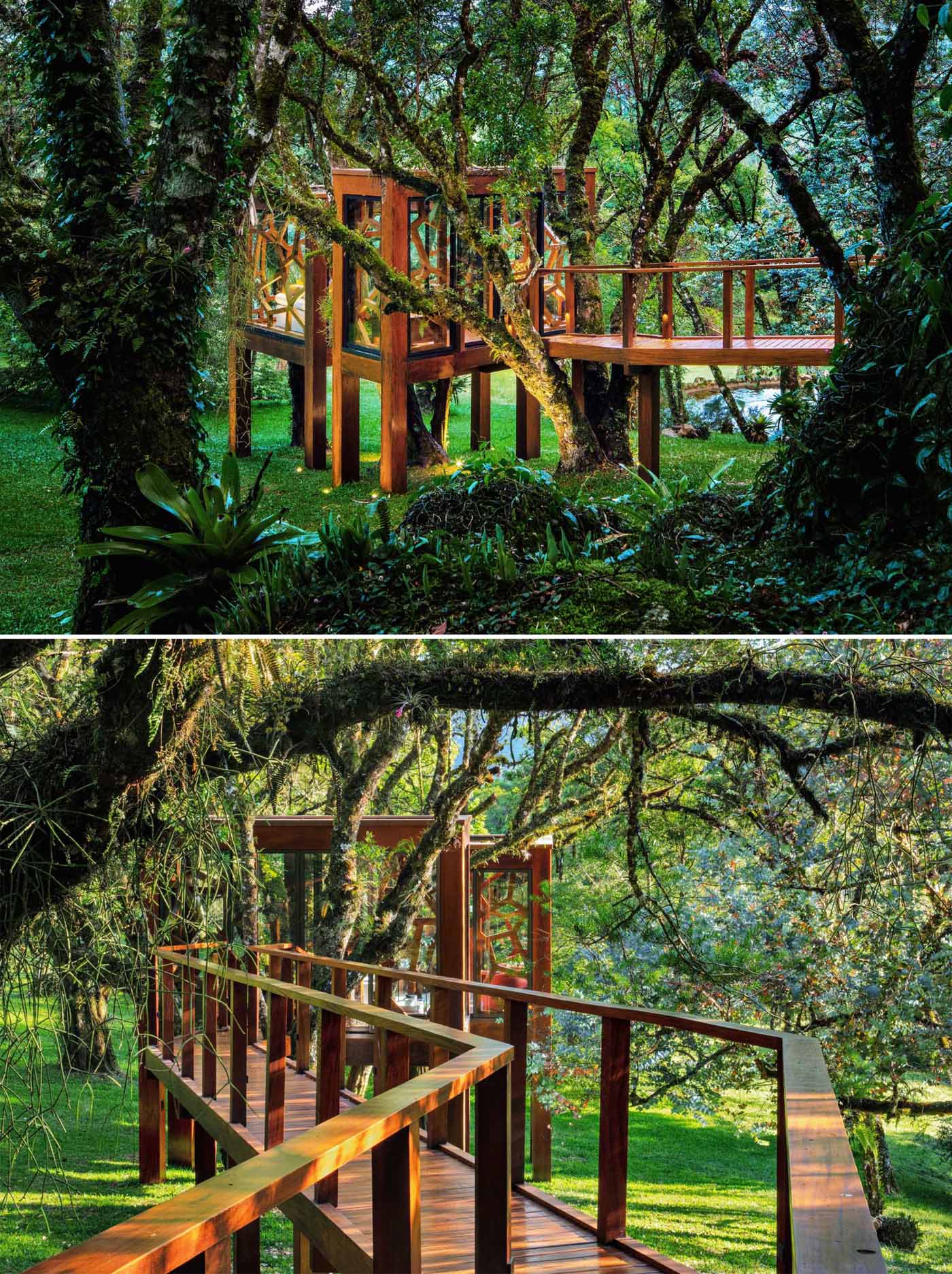 A modern tree house with a reception room and living room that are reached via a wood walkway in the trees.