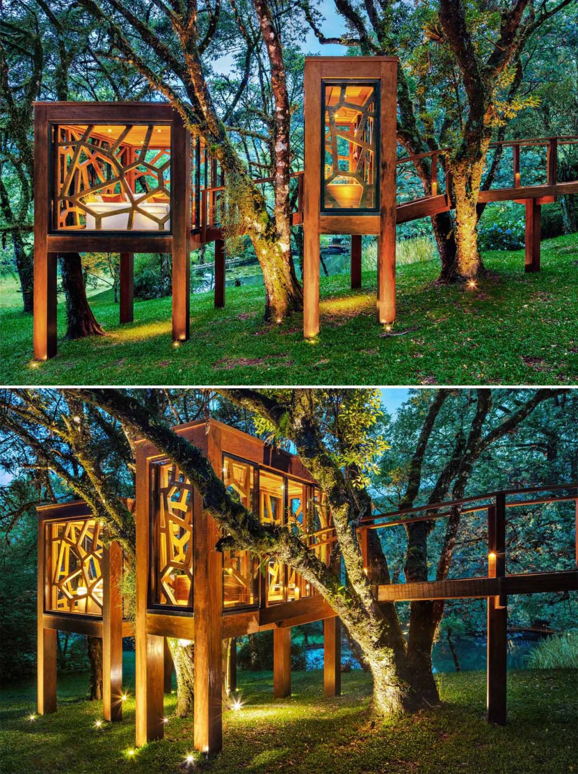 A Modern Tree House With Two Rooms