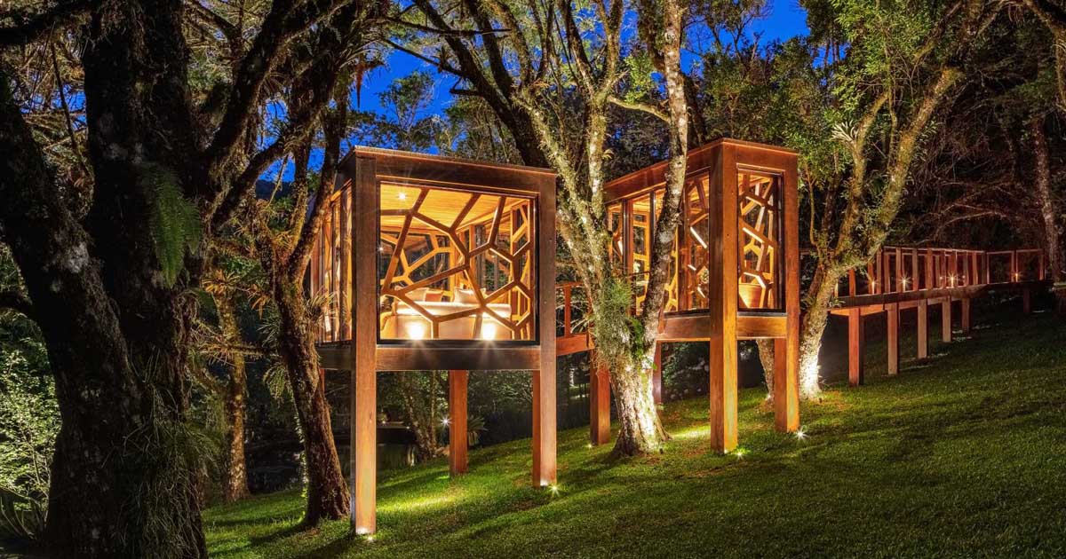 A Modern Tree House With Two Rooms
