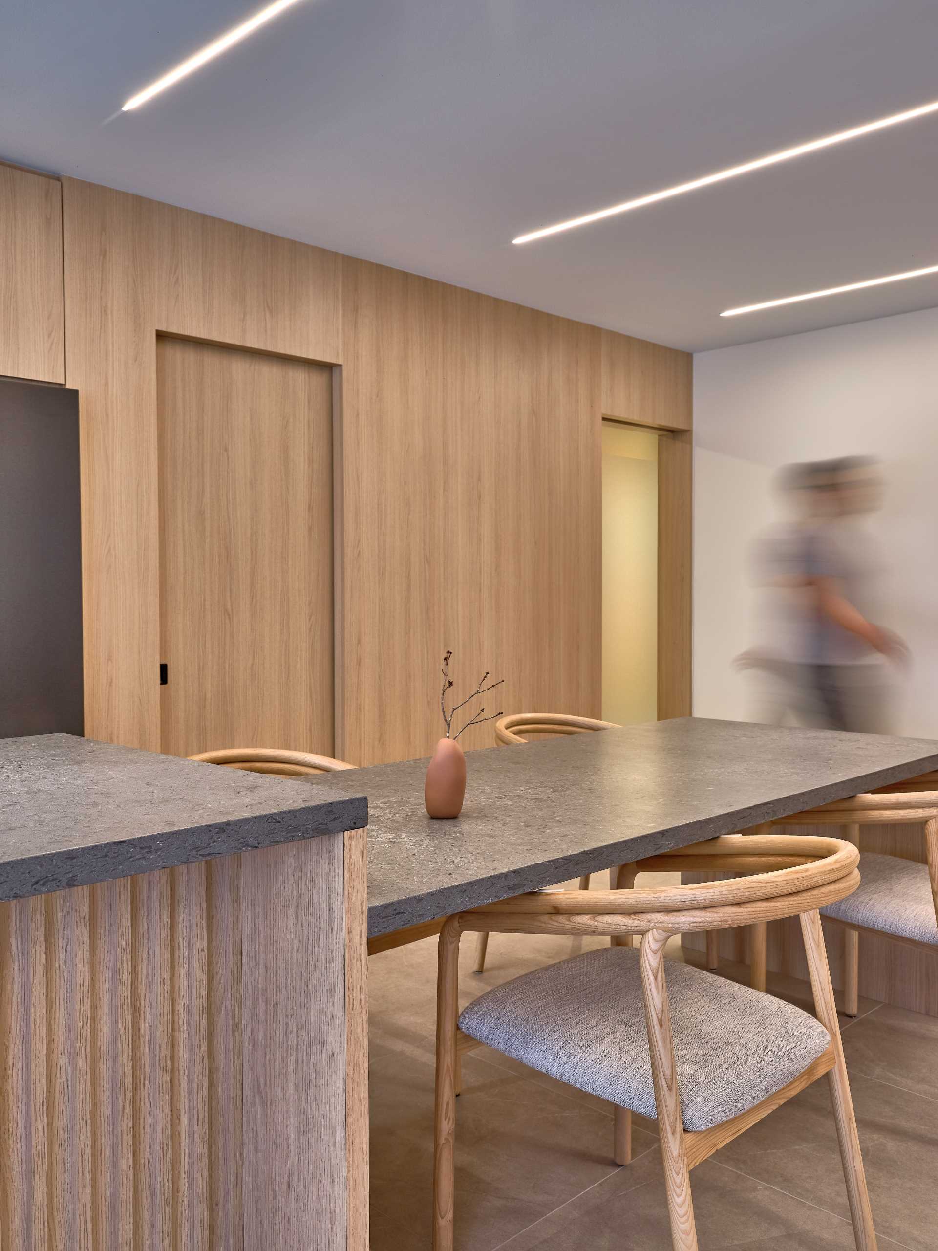 A modern kitchen with wooden pocket doors lead to the hidden pantry, a dog shower, and a separate entrance to the garage.