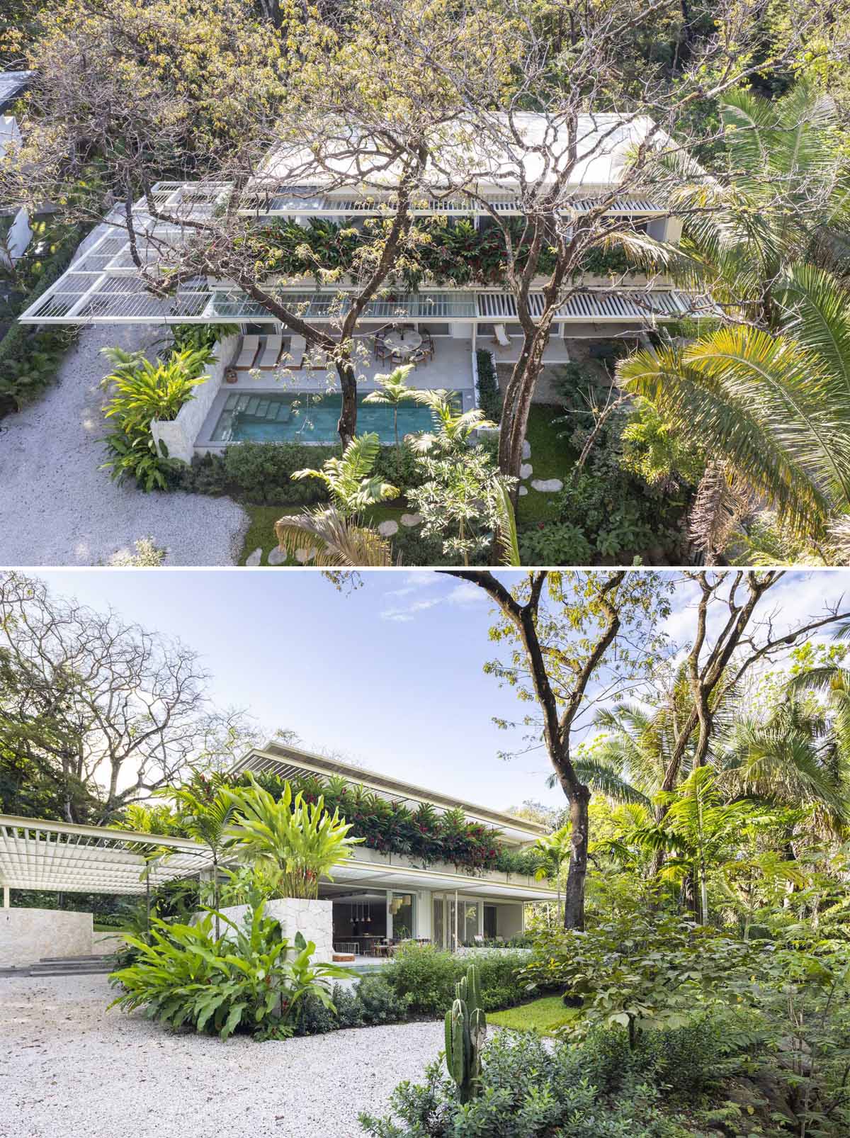 Planter boxes with large tropical plants were placed on the second-floor of this modern home to create privacy and to frame the views.