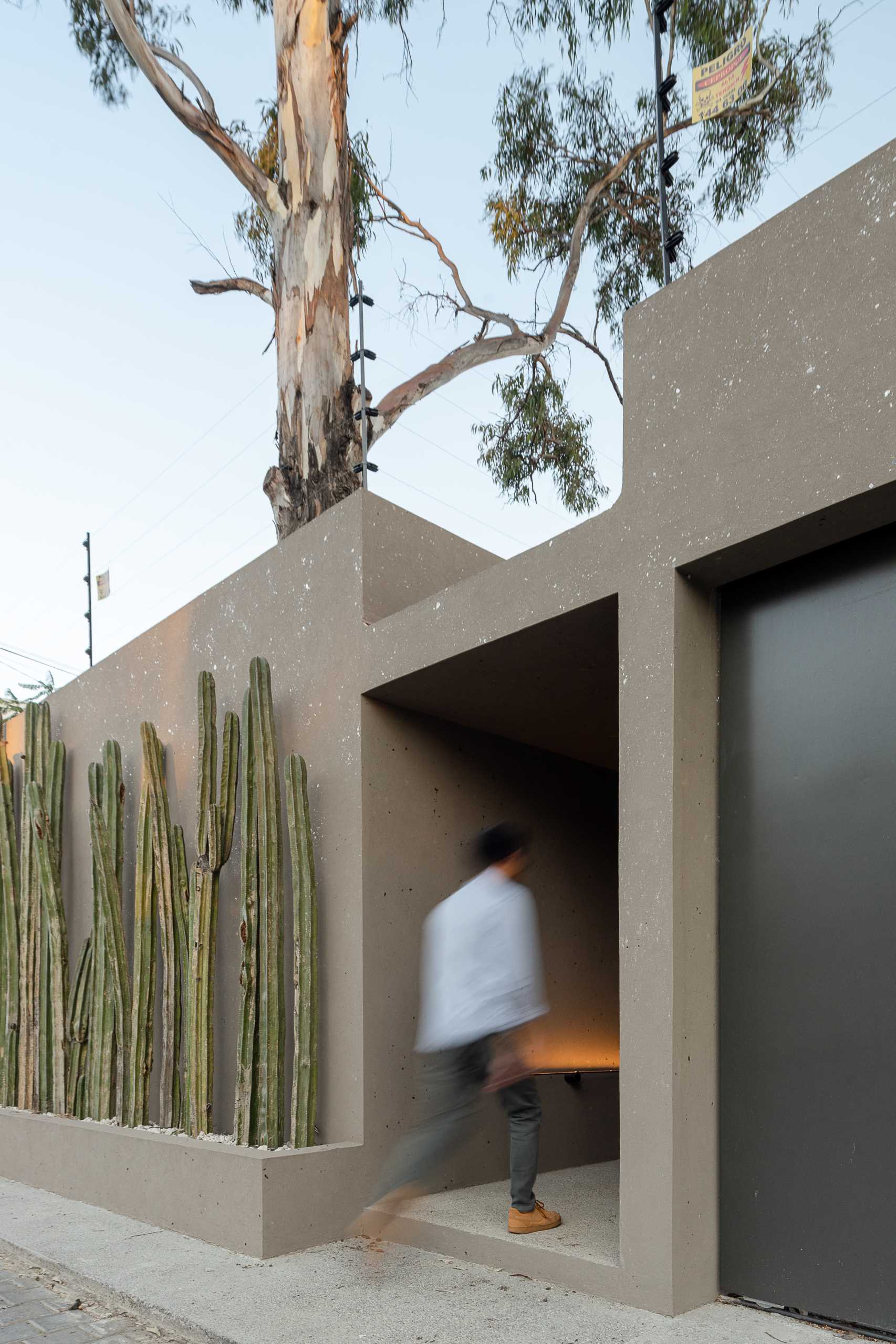 This modern home is built on a site with an irregular shape, however, from the street, it appears as a straight horizontal home, with a large gate and a planter filled with cacti. Separating these two area is a covered path to the front door.